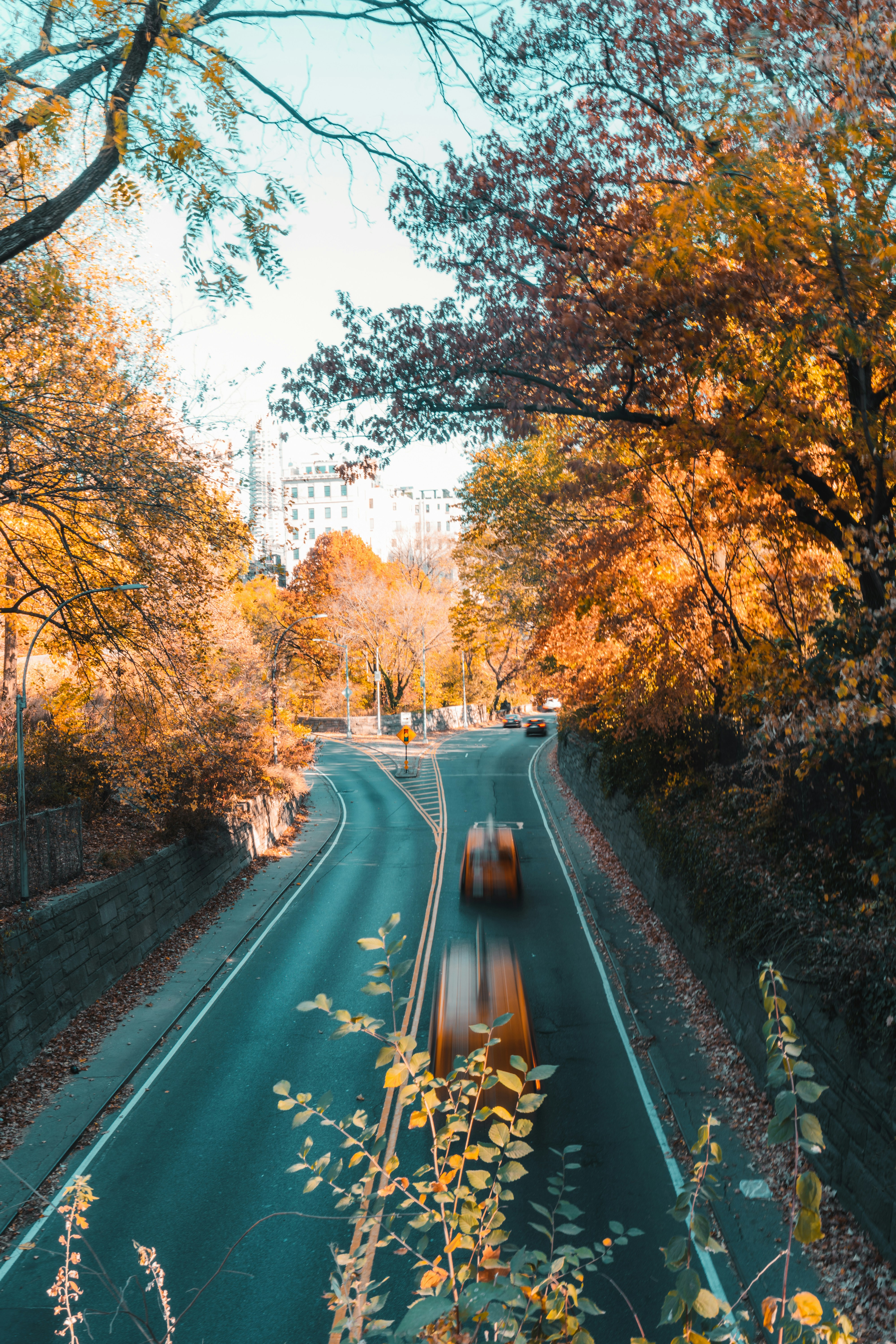 Autumn foliage frames a busy road with blurred cars.
