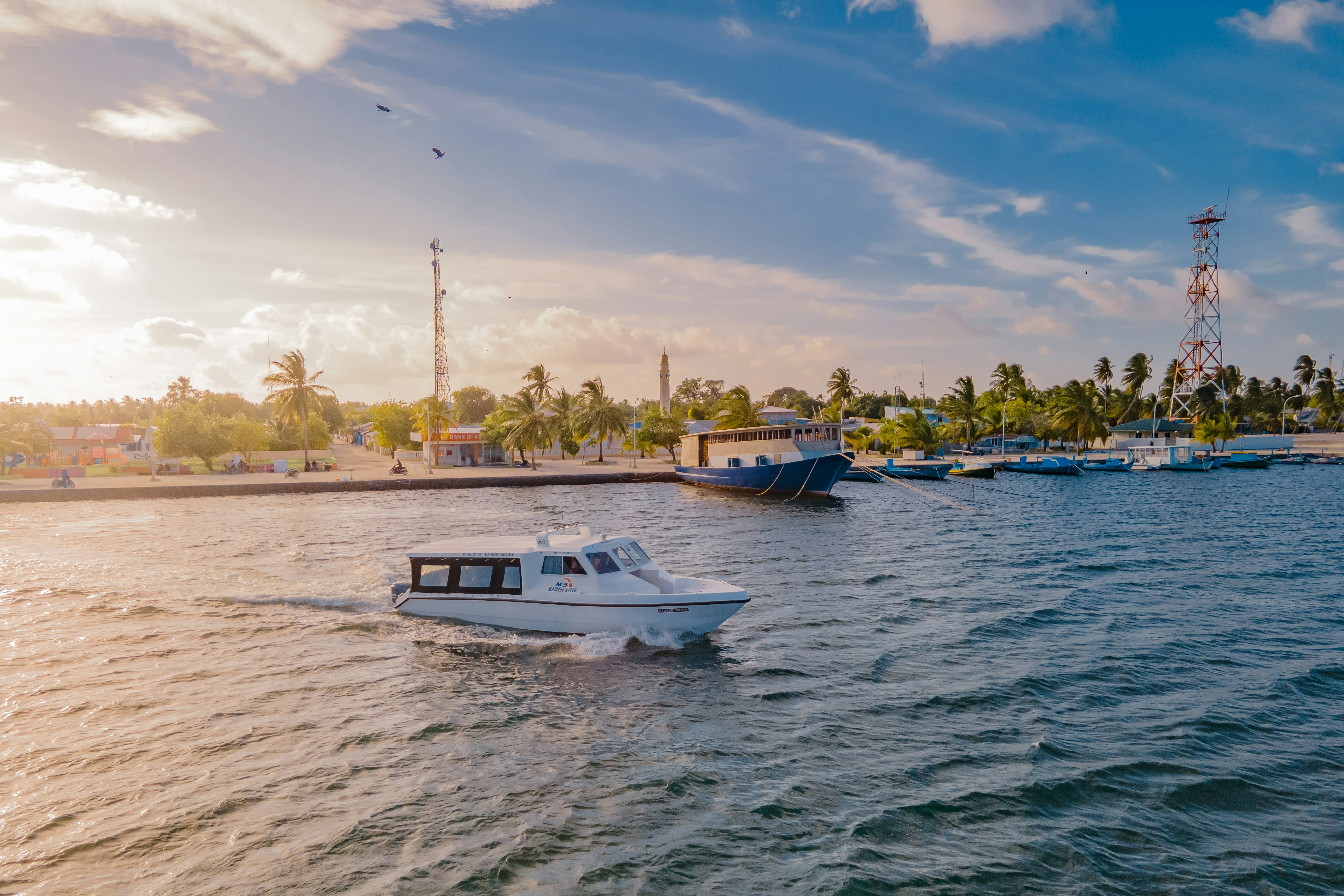 Photo by shabilphotos