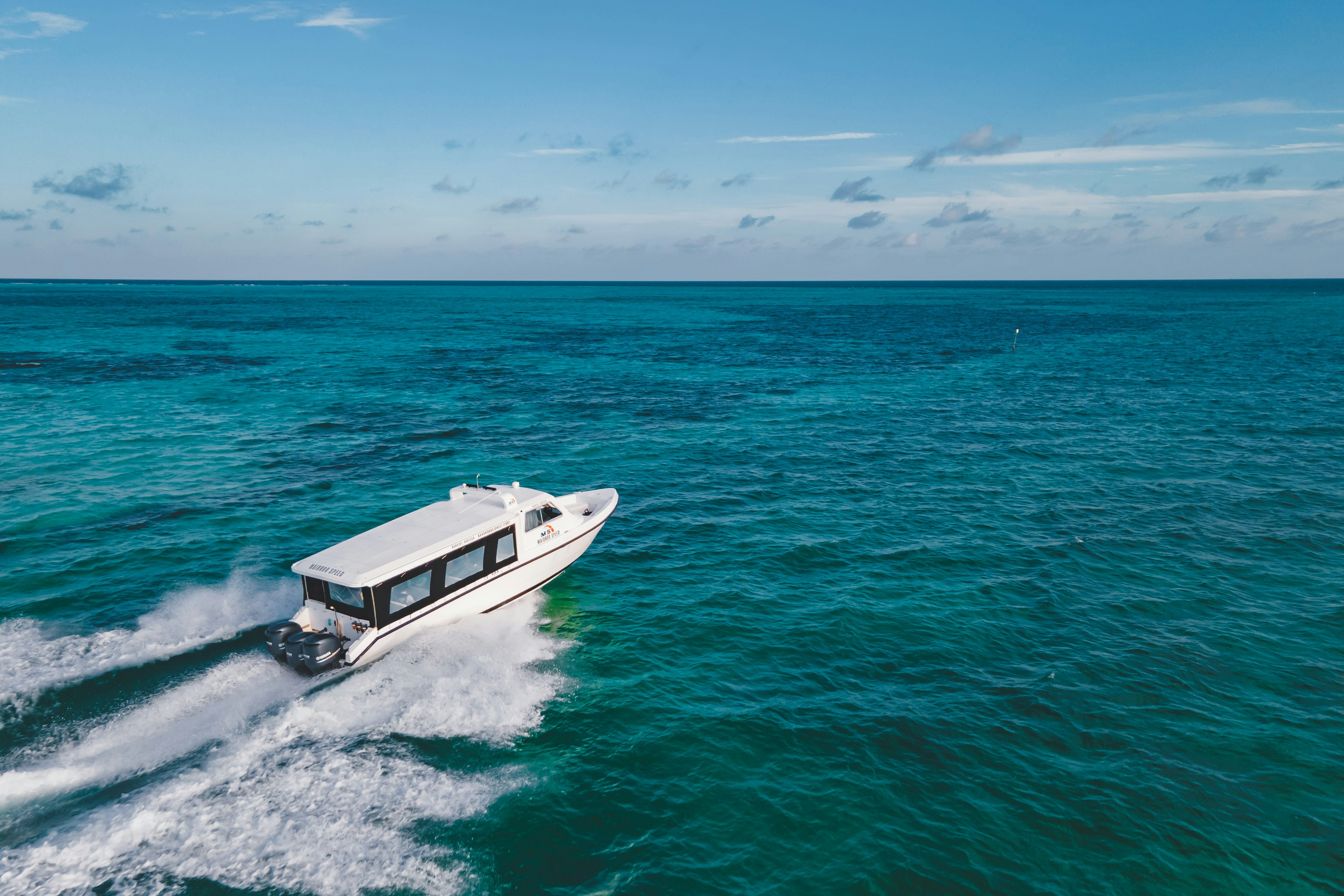 A white boat is speeding through the blue ocean.