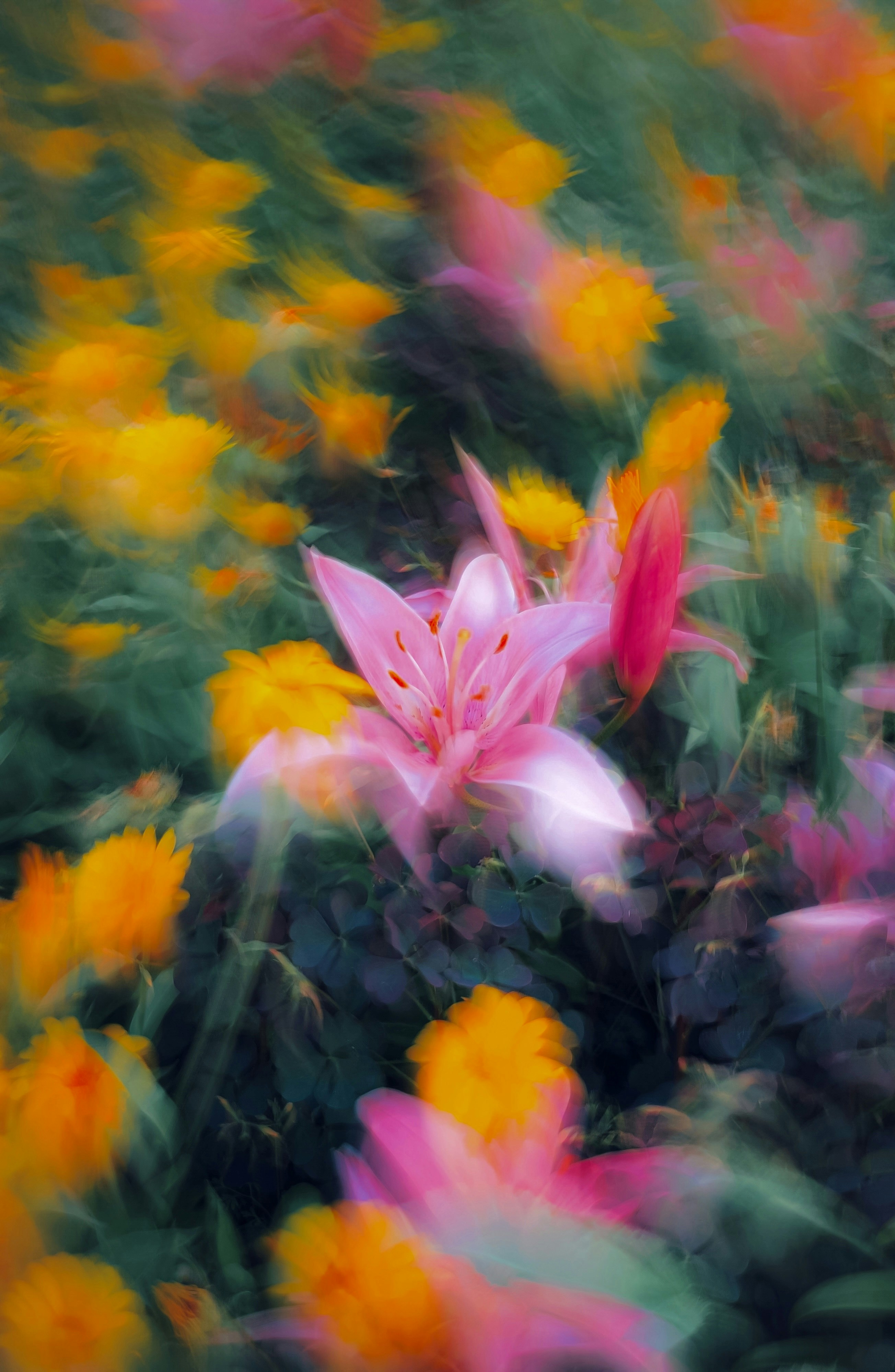 Photo by eugene_golovesov