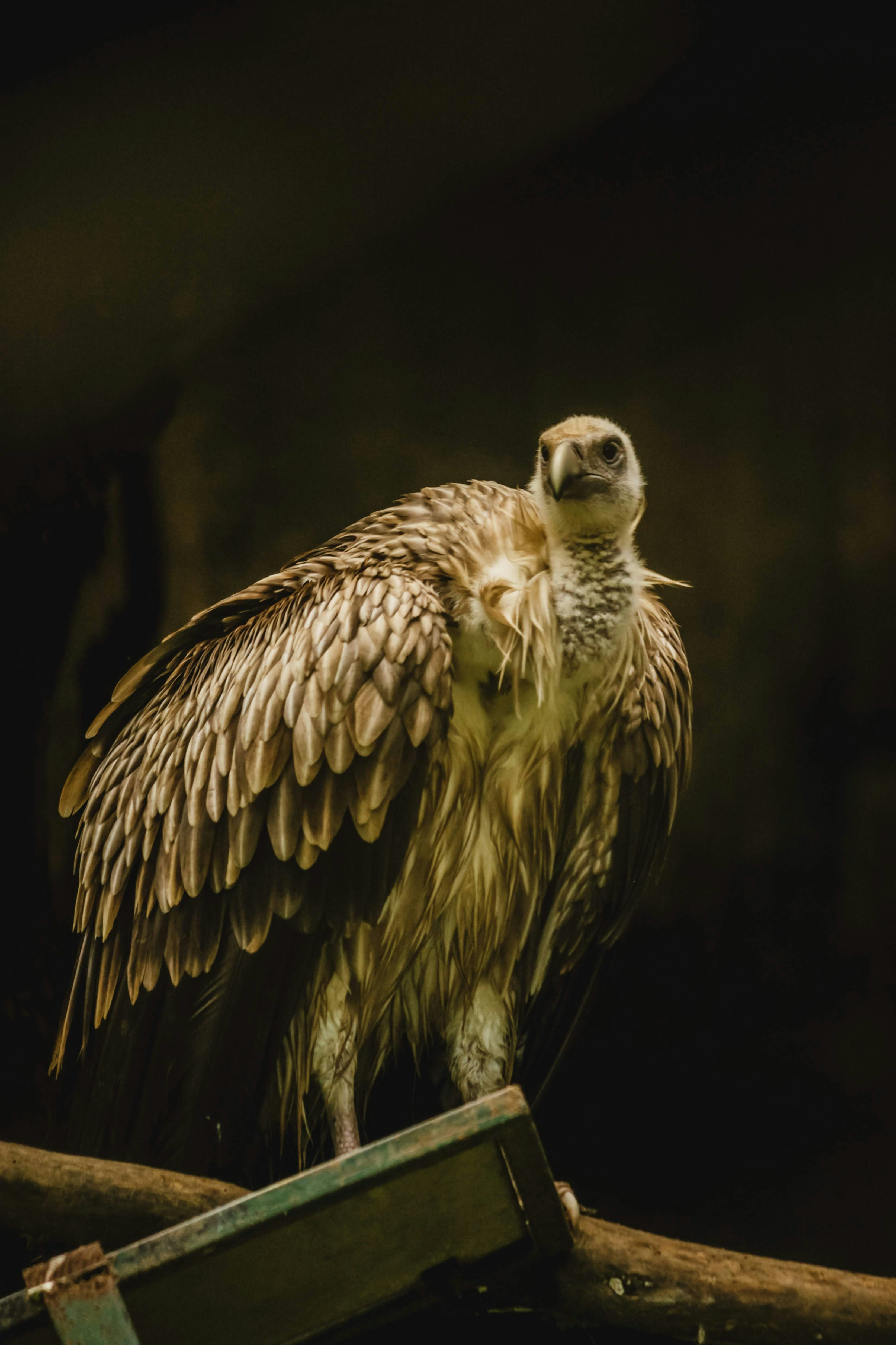 Photo by yugeshralli