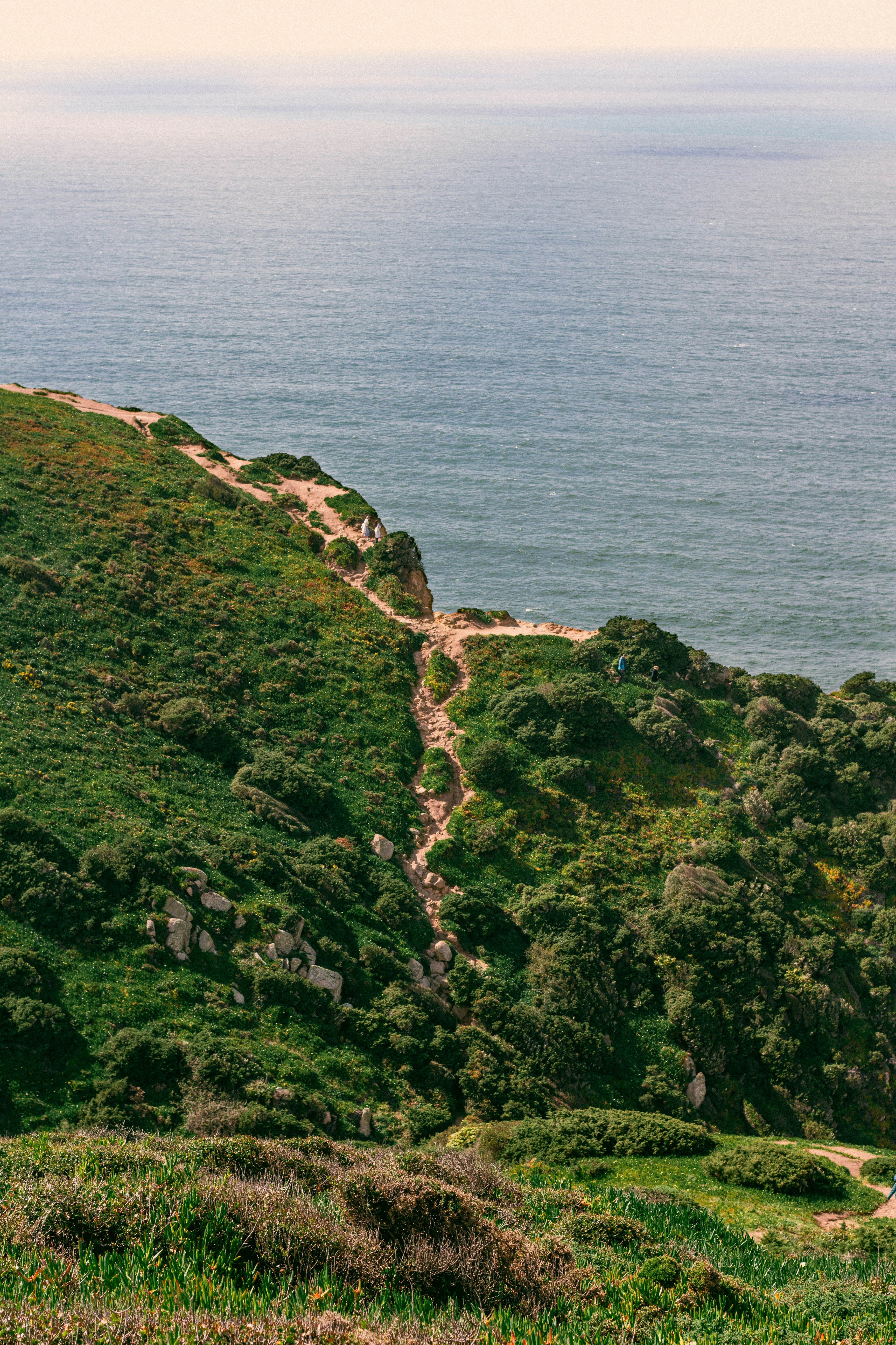 Photo by omarcelorangel