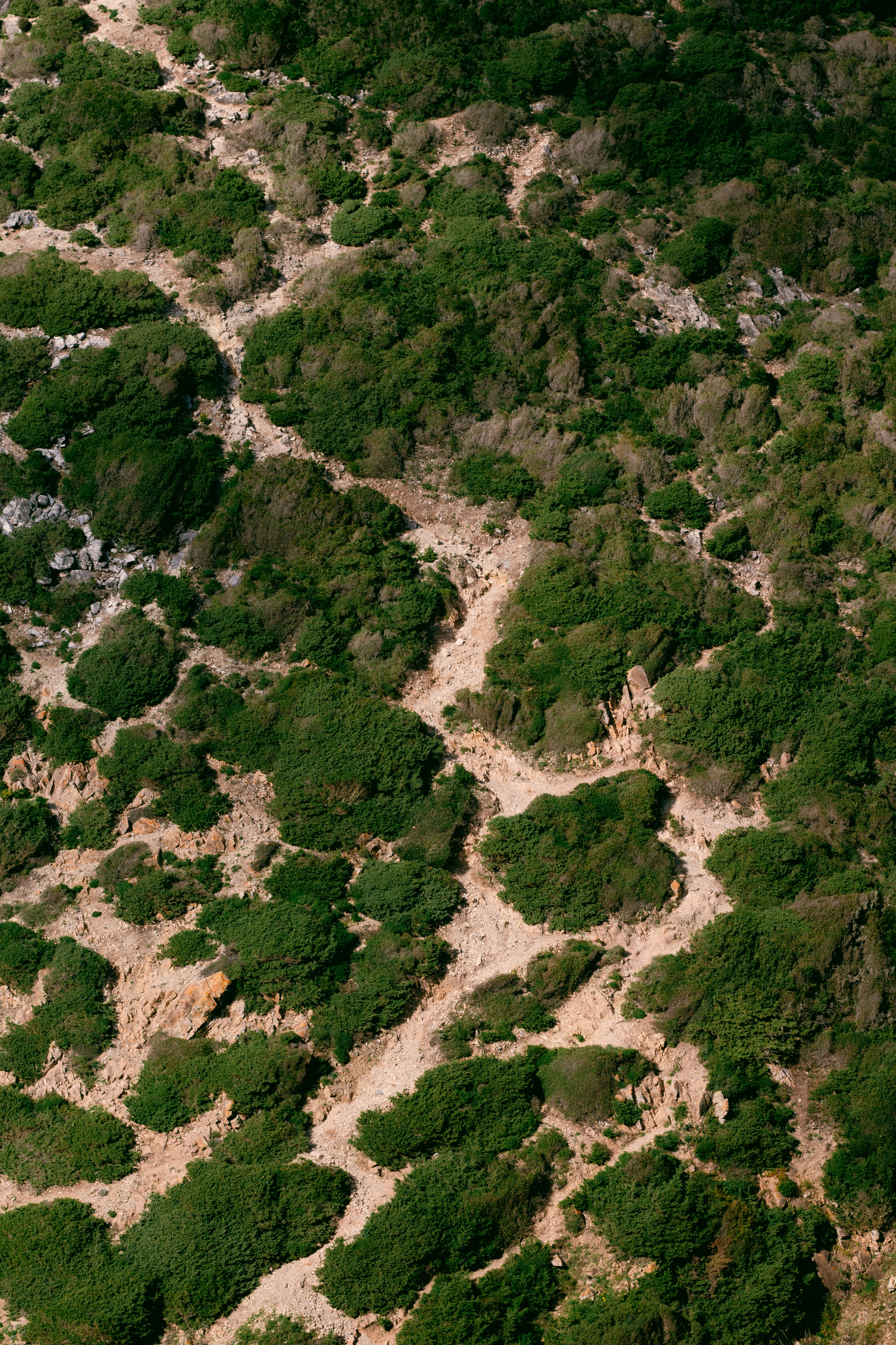 Photo by omarcelorangel