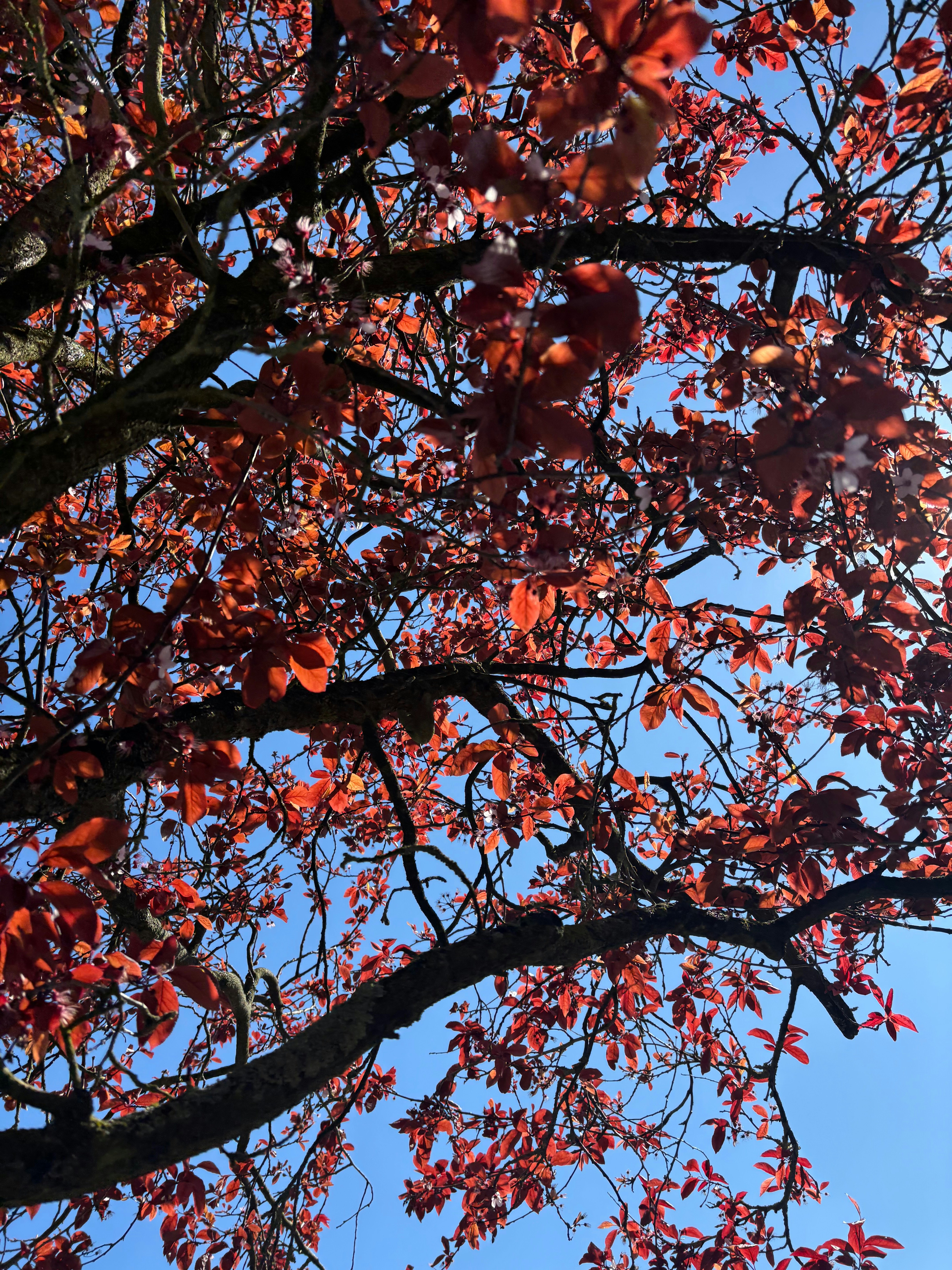 Photo by msmelaniesykes