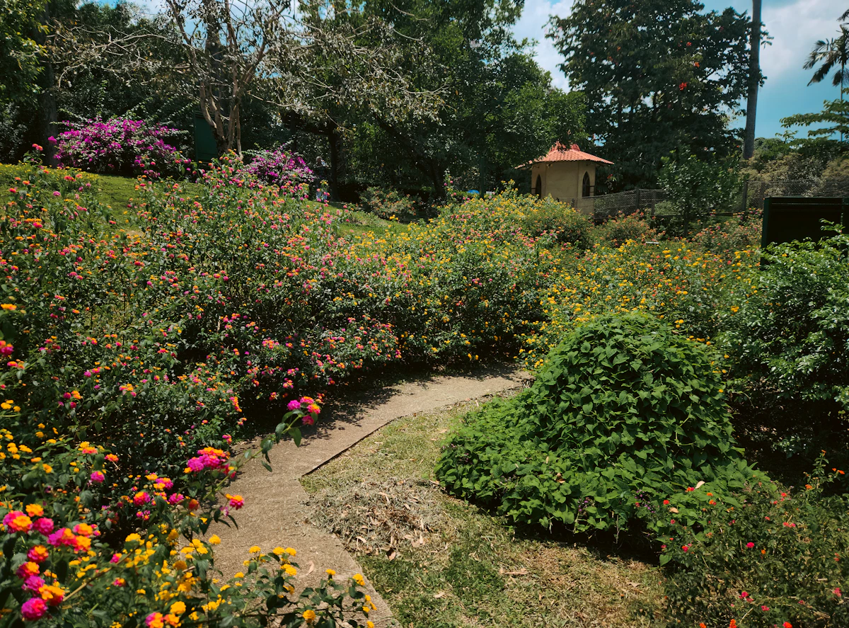 Kandy Royal Botanic Gardens
