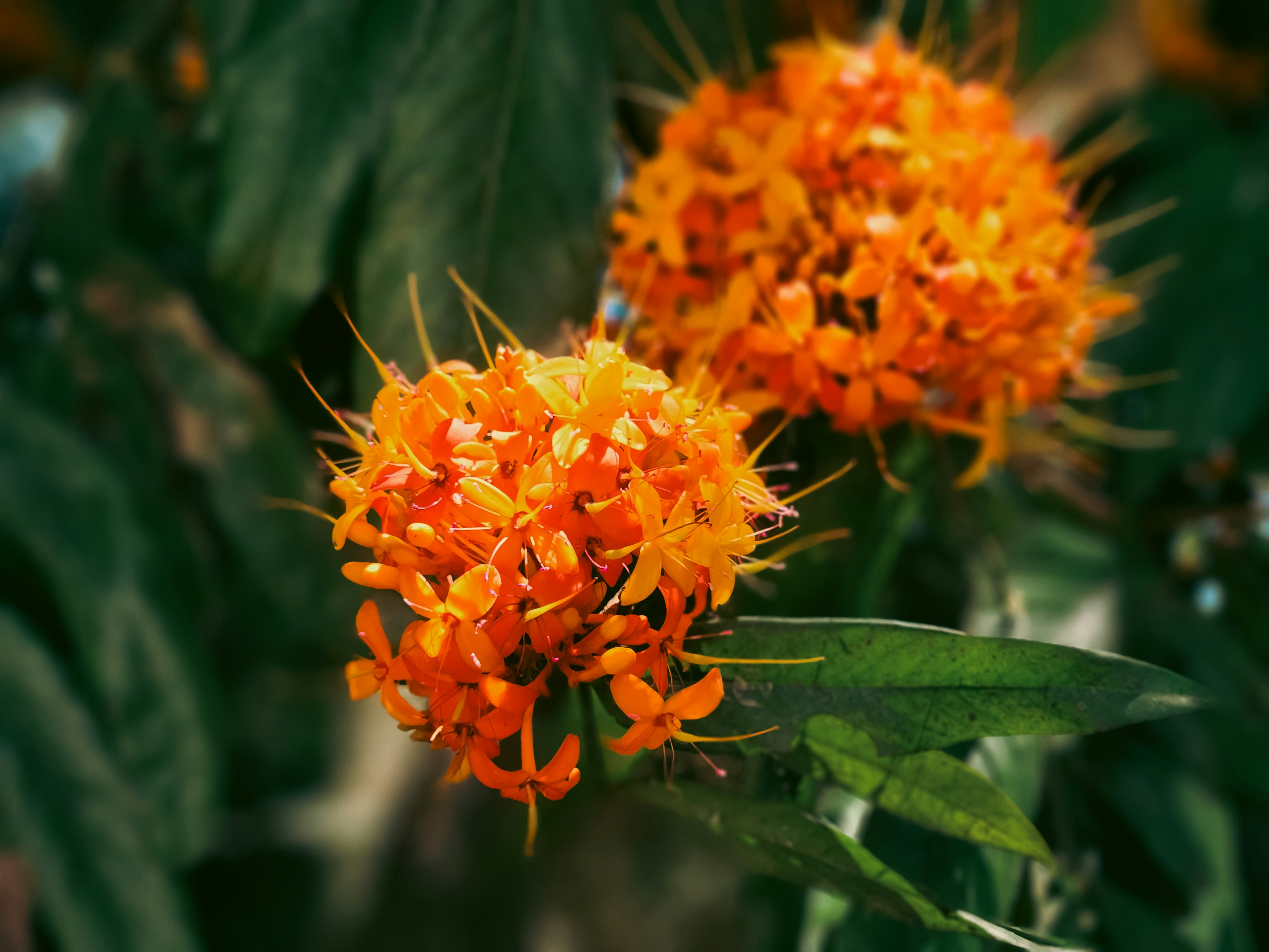 Photo by zoshuacolah