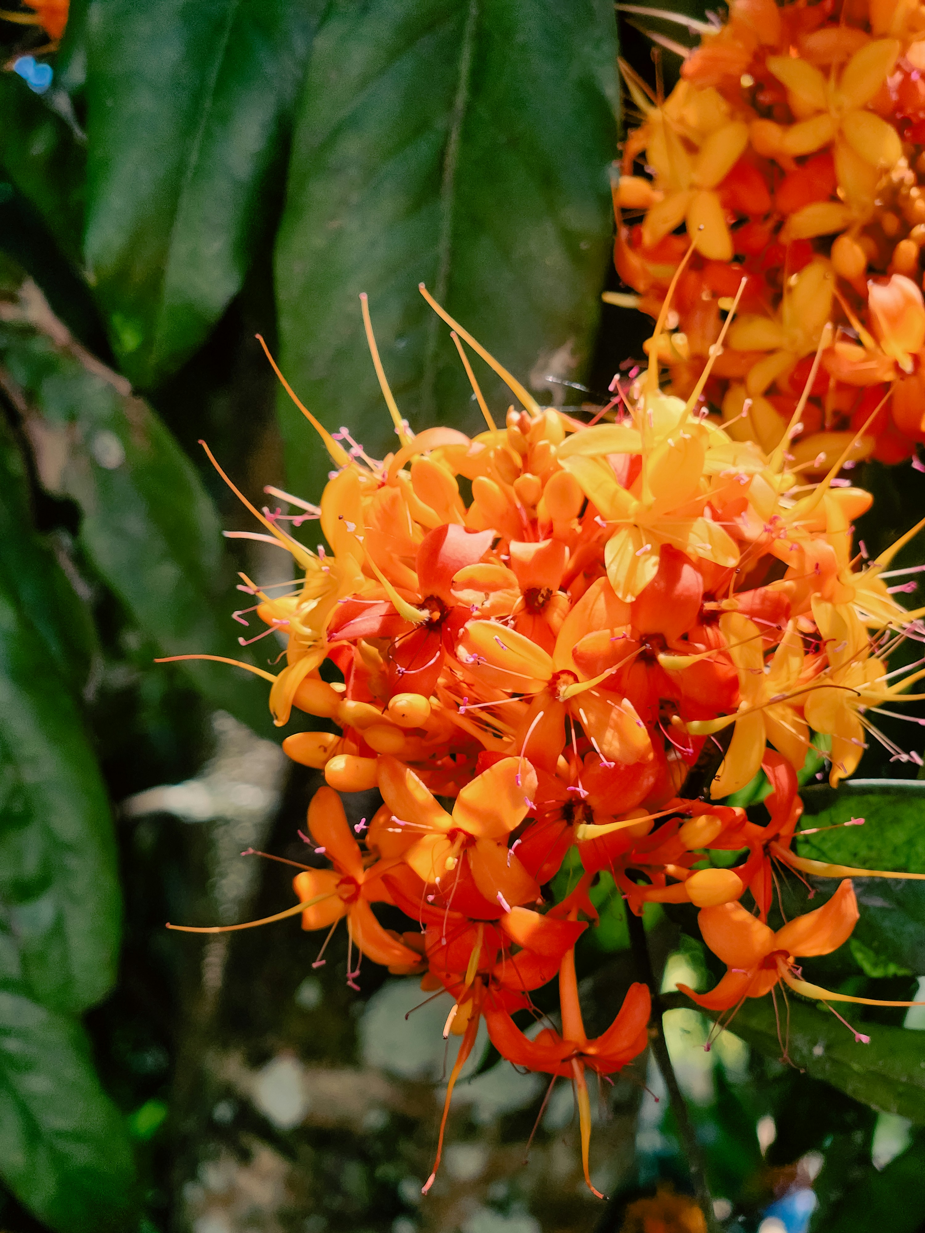 Photo by zoshuacolah