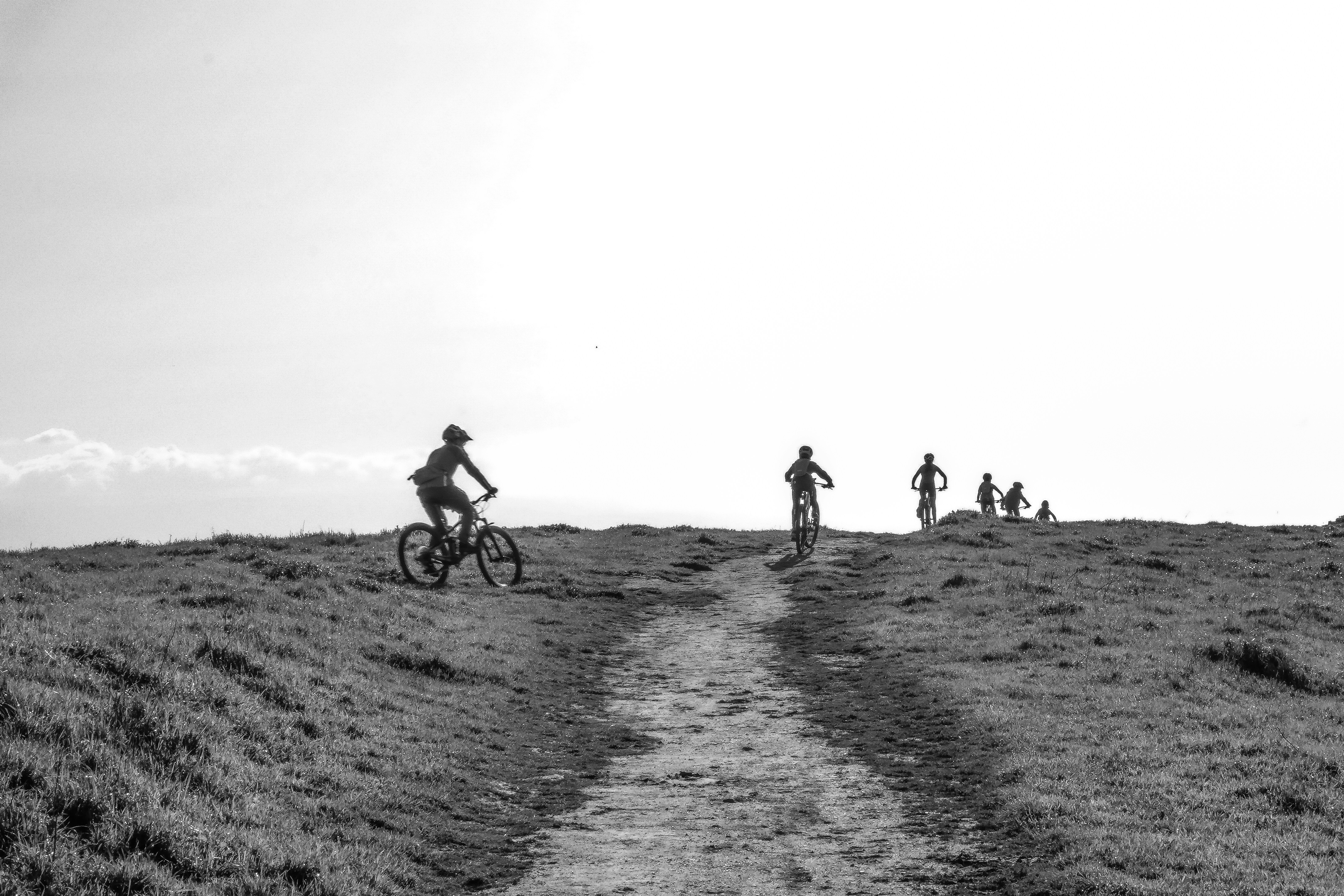 Mountain bikers ride on a grassy trail.