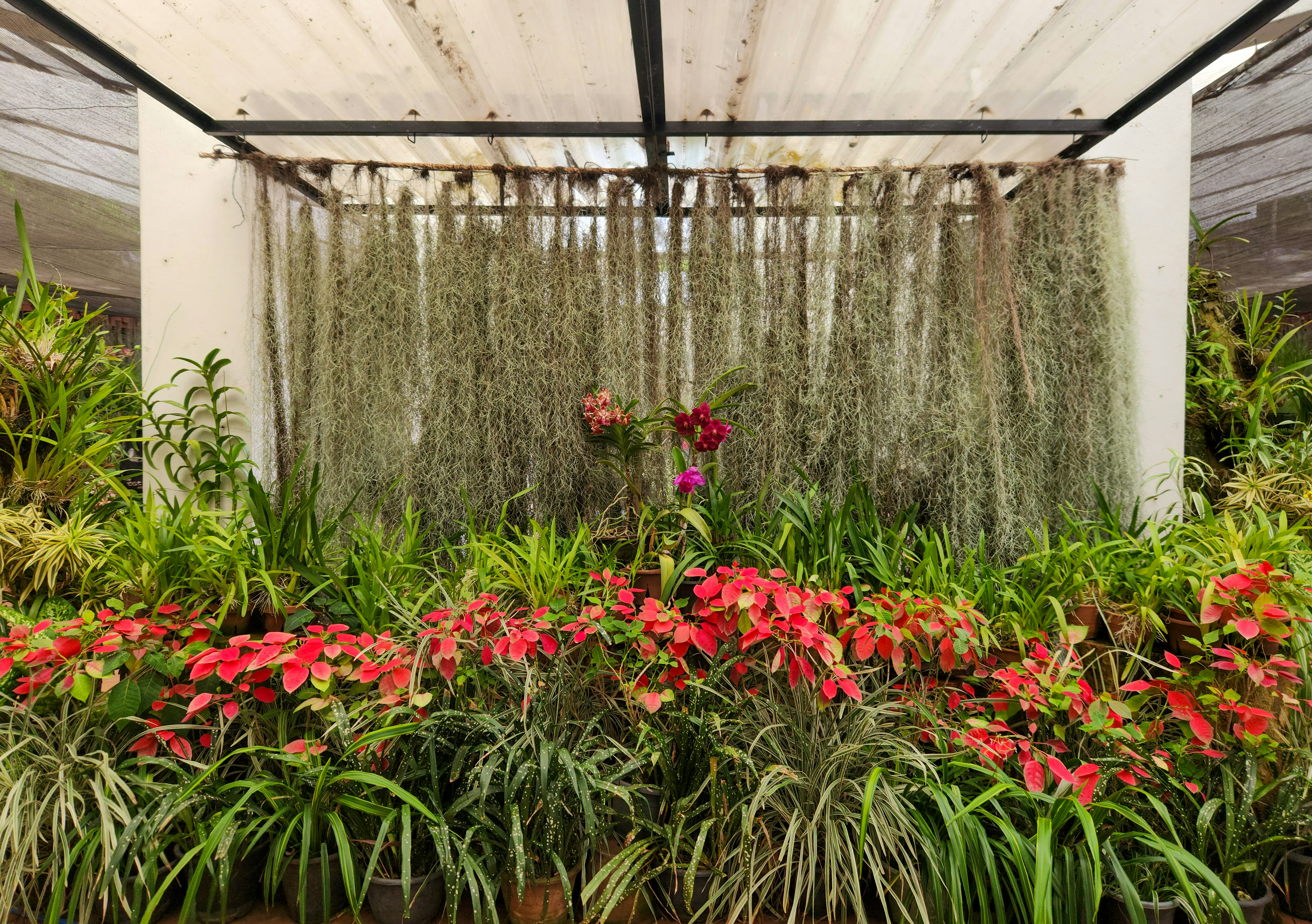 Photo by zoshuacolah