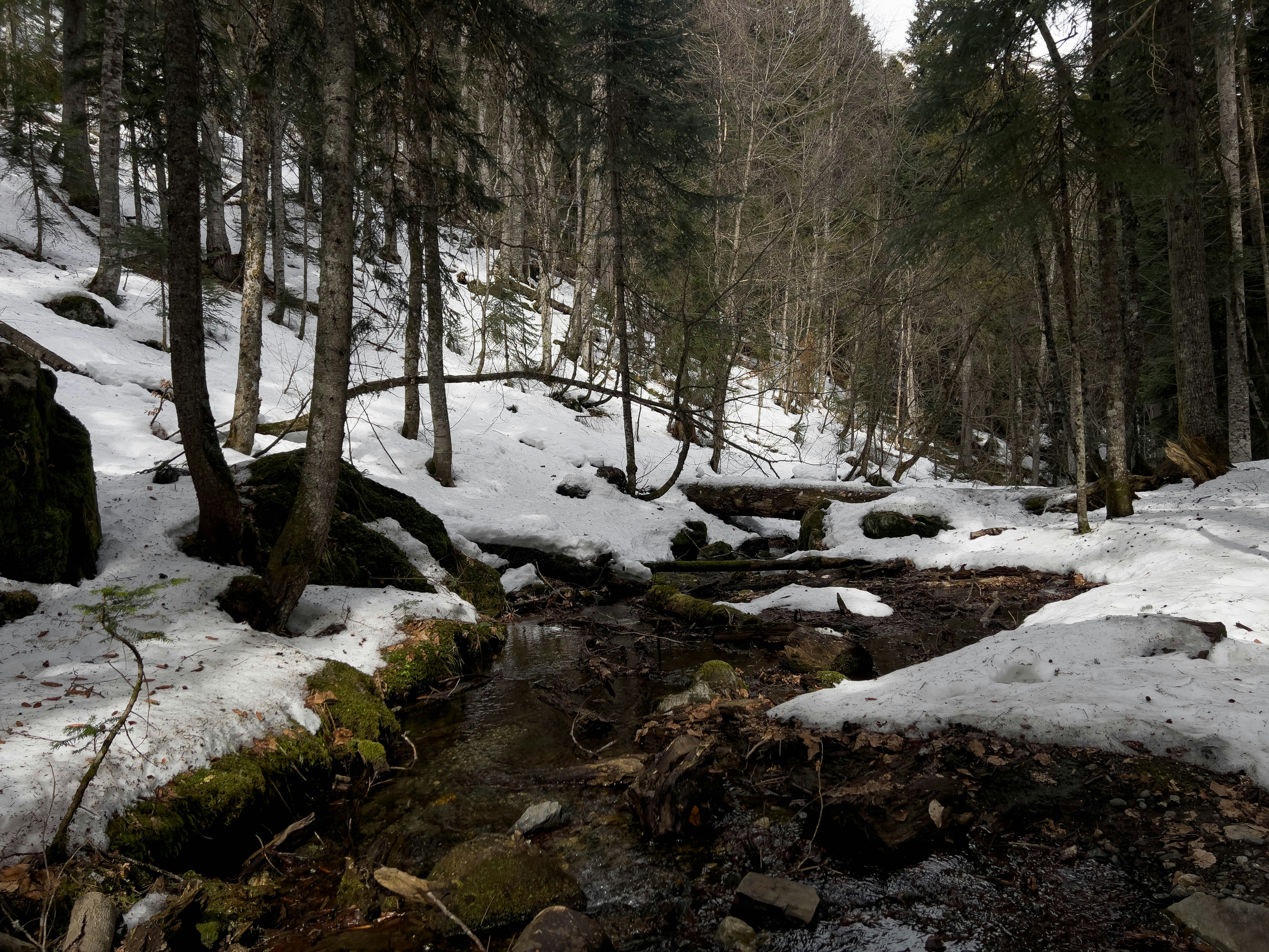 Photo by pinkpony2000