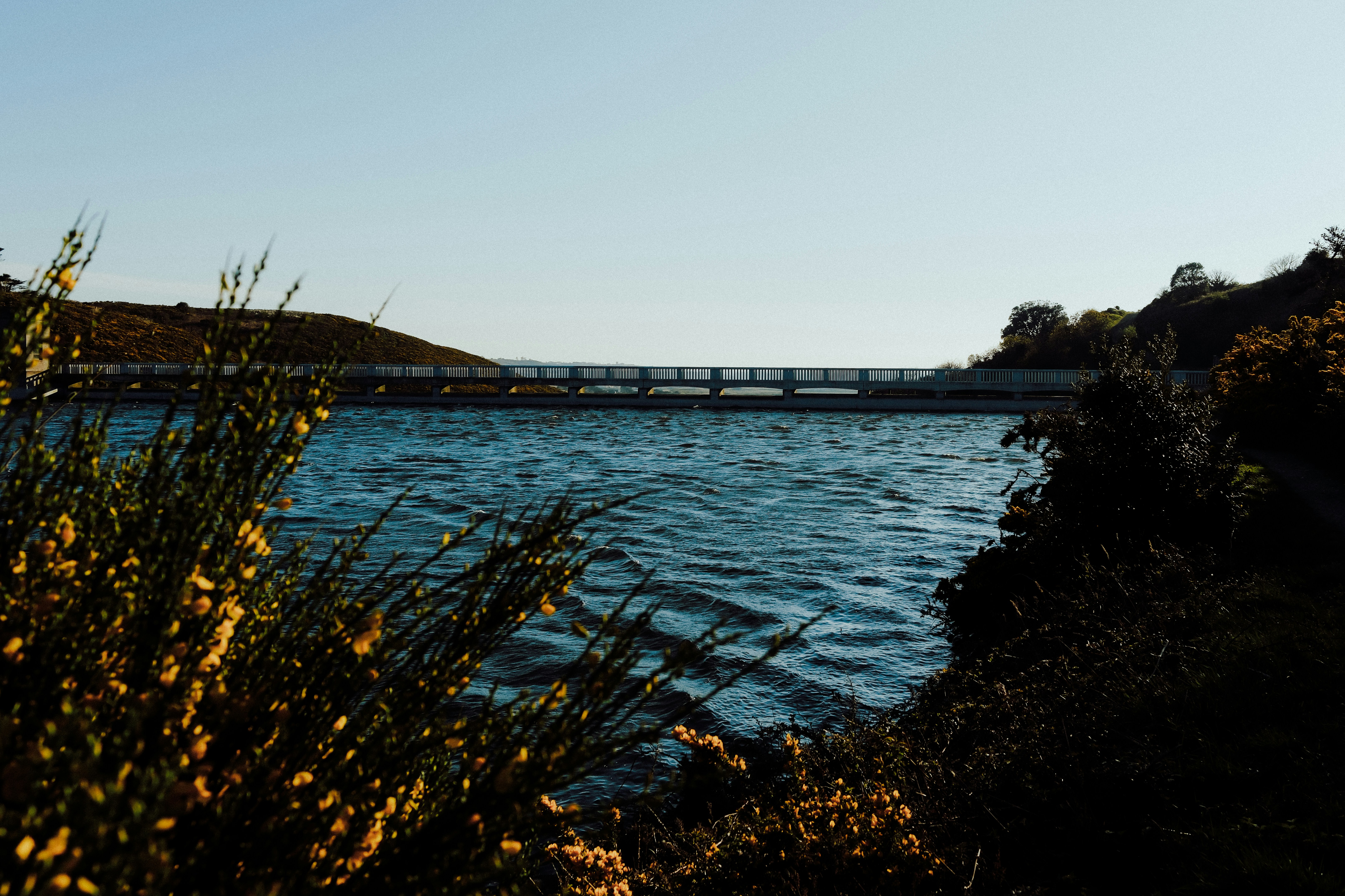 Photo by lmoss_photo