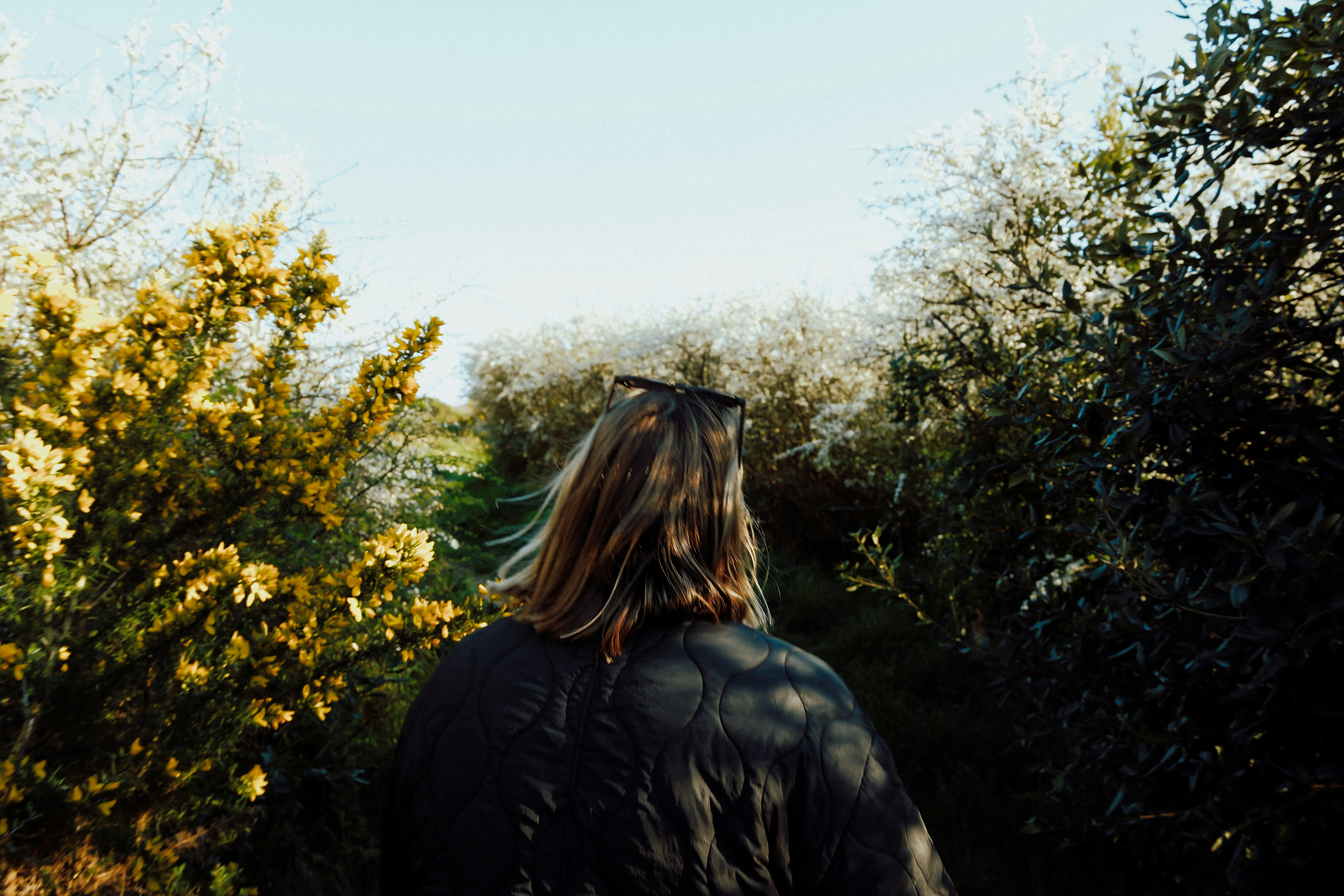 Photo by lmoss_photo