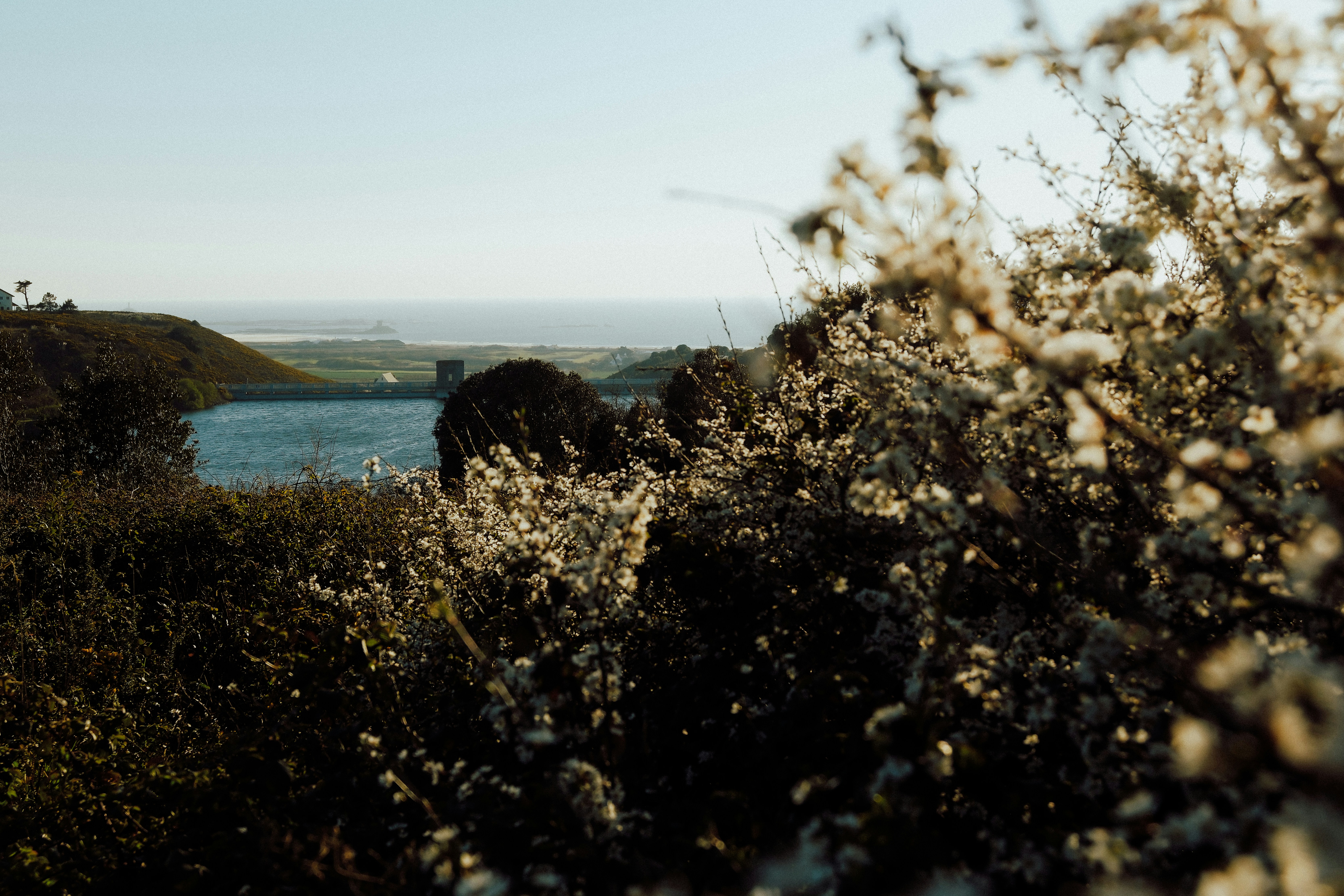 Photo by lmoss_photo