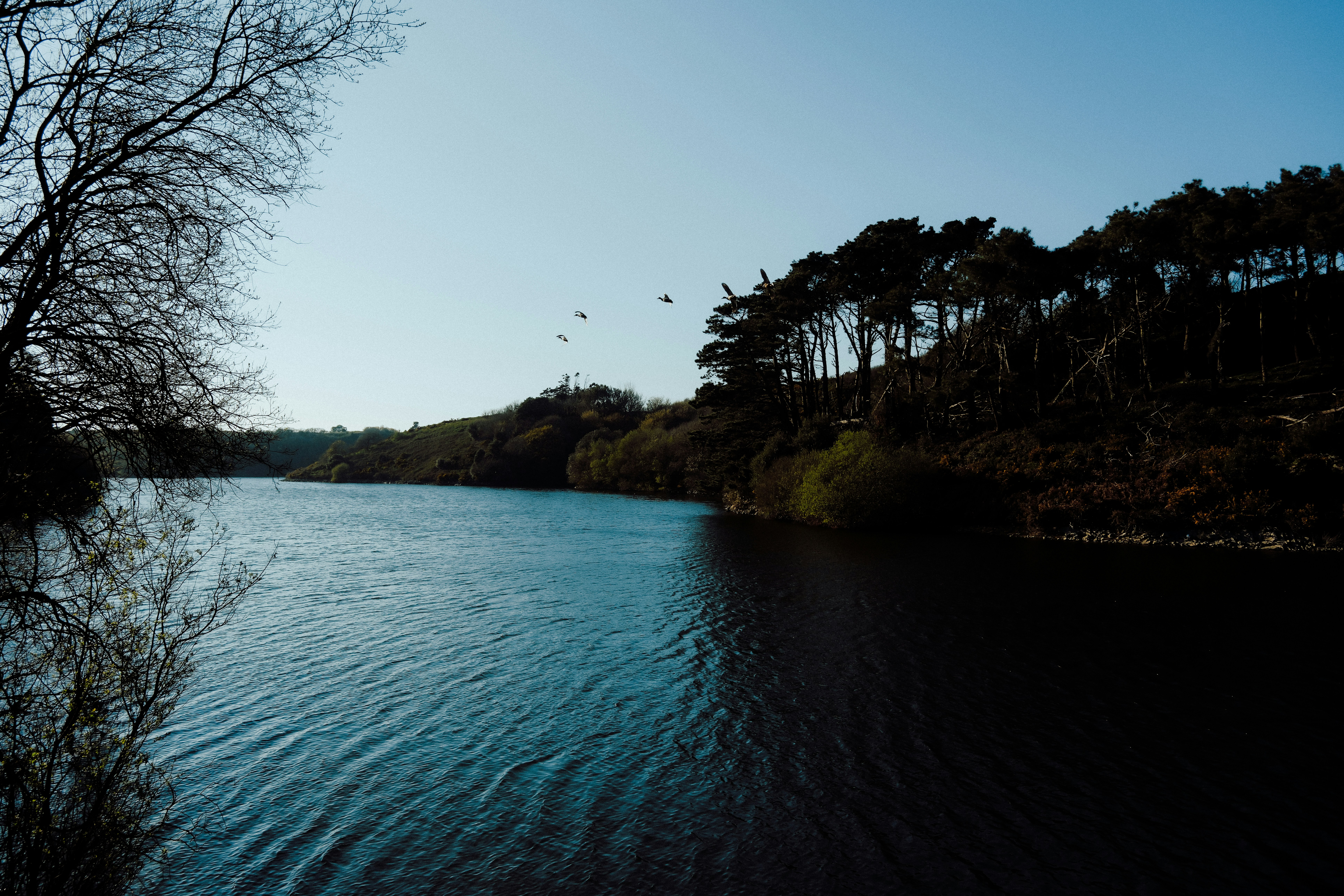 Photo by lmoss_photo