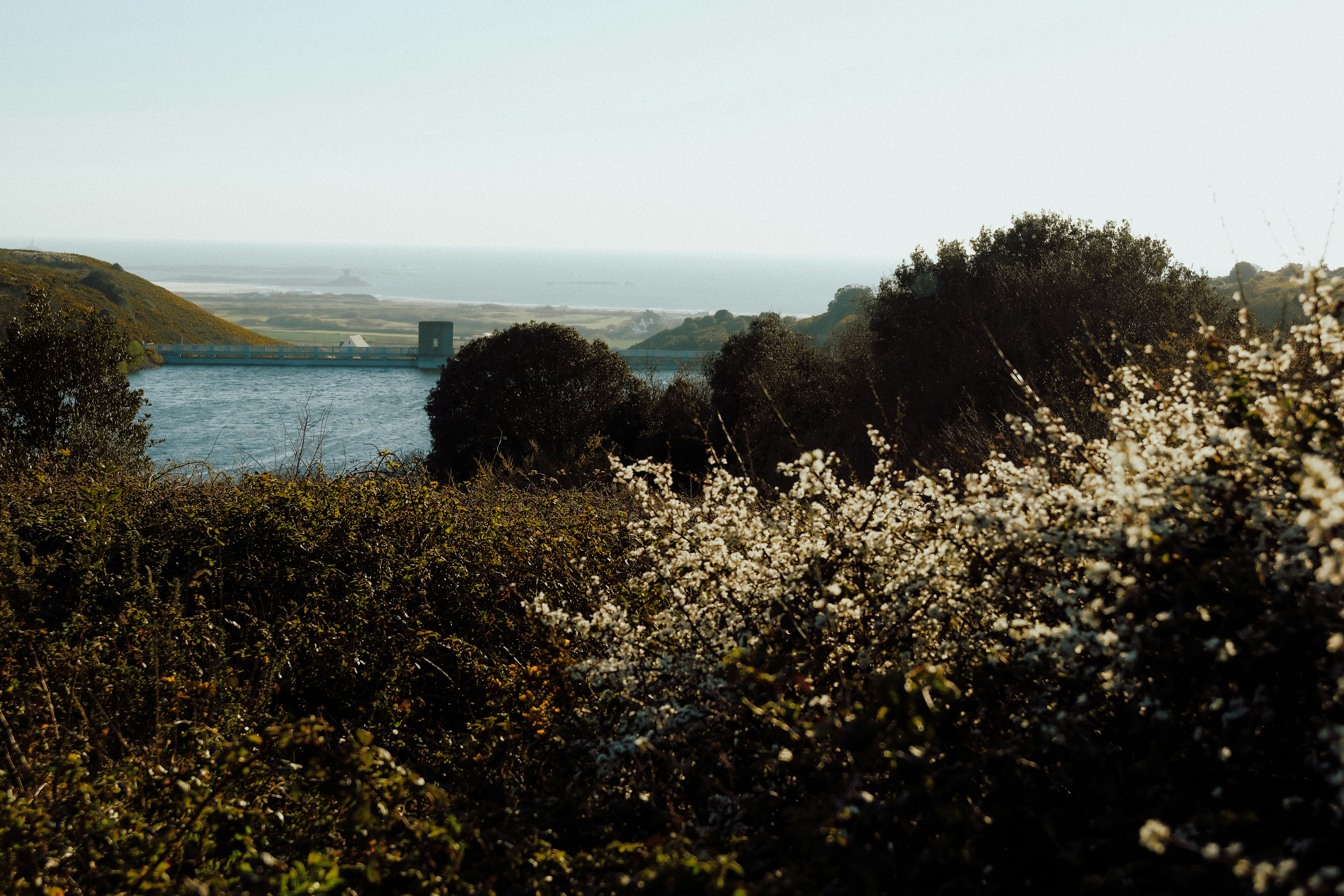 Photo by lmoss_photo