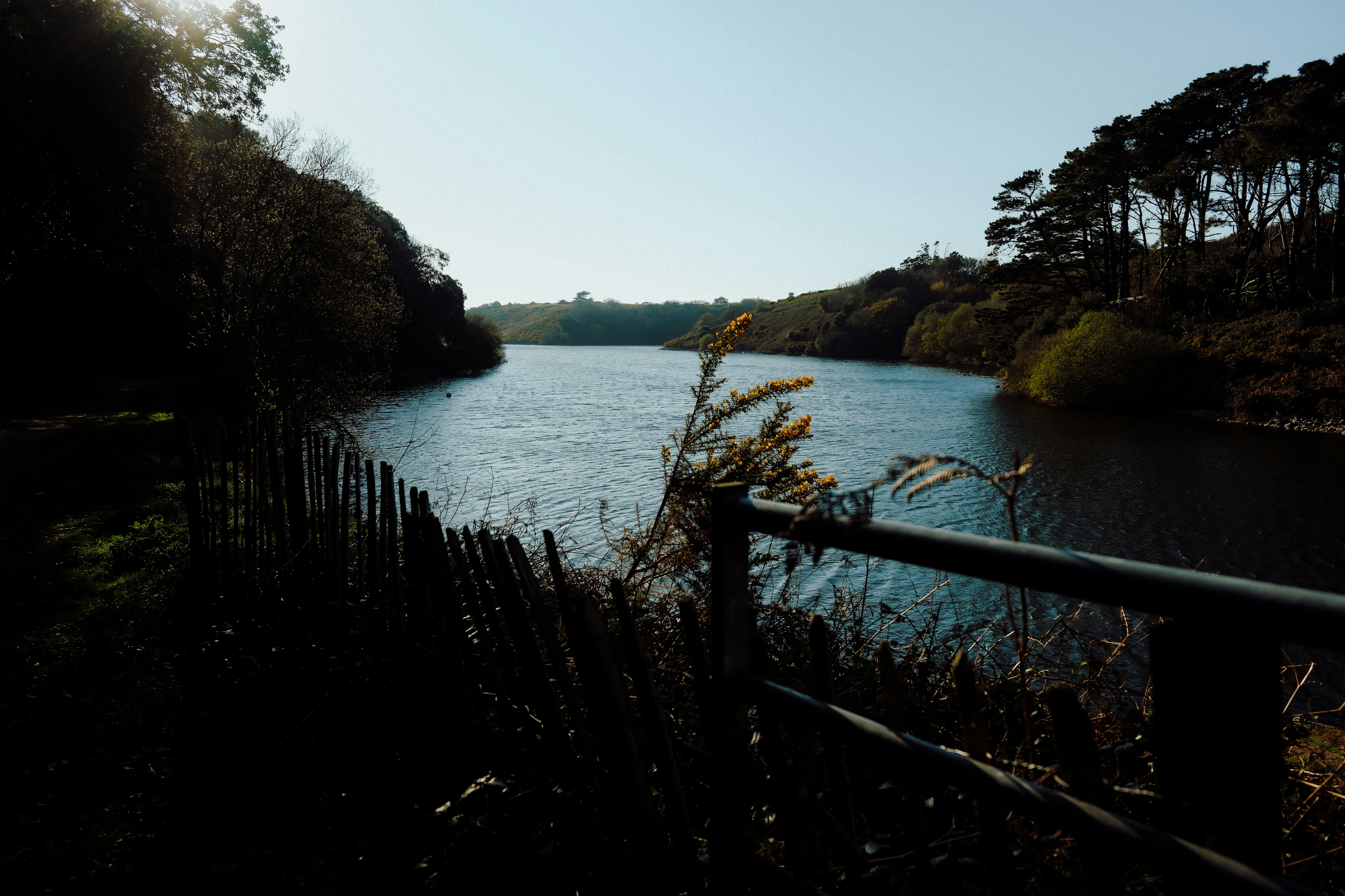 Photo by lmoss_photo