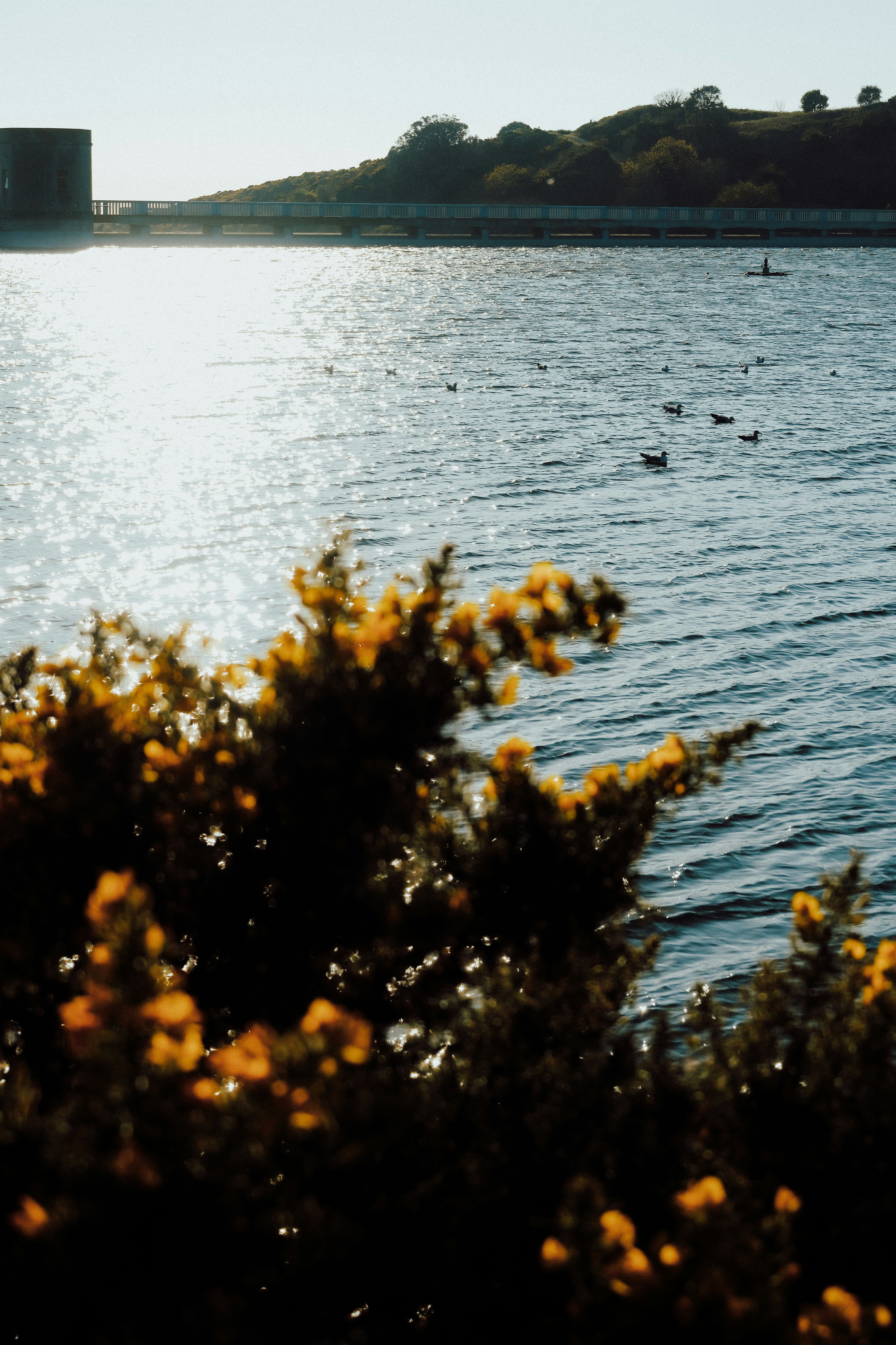 Photo by lmoss_photo