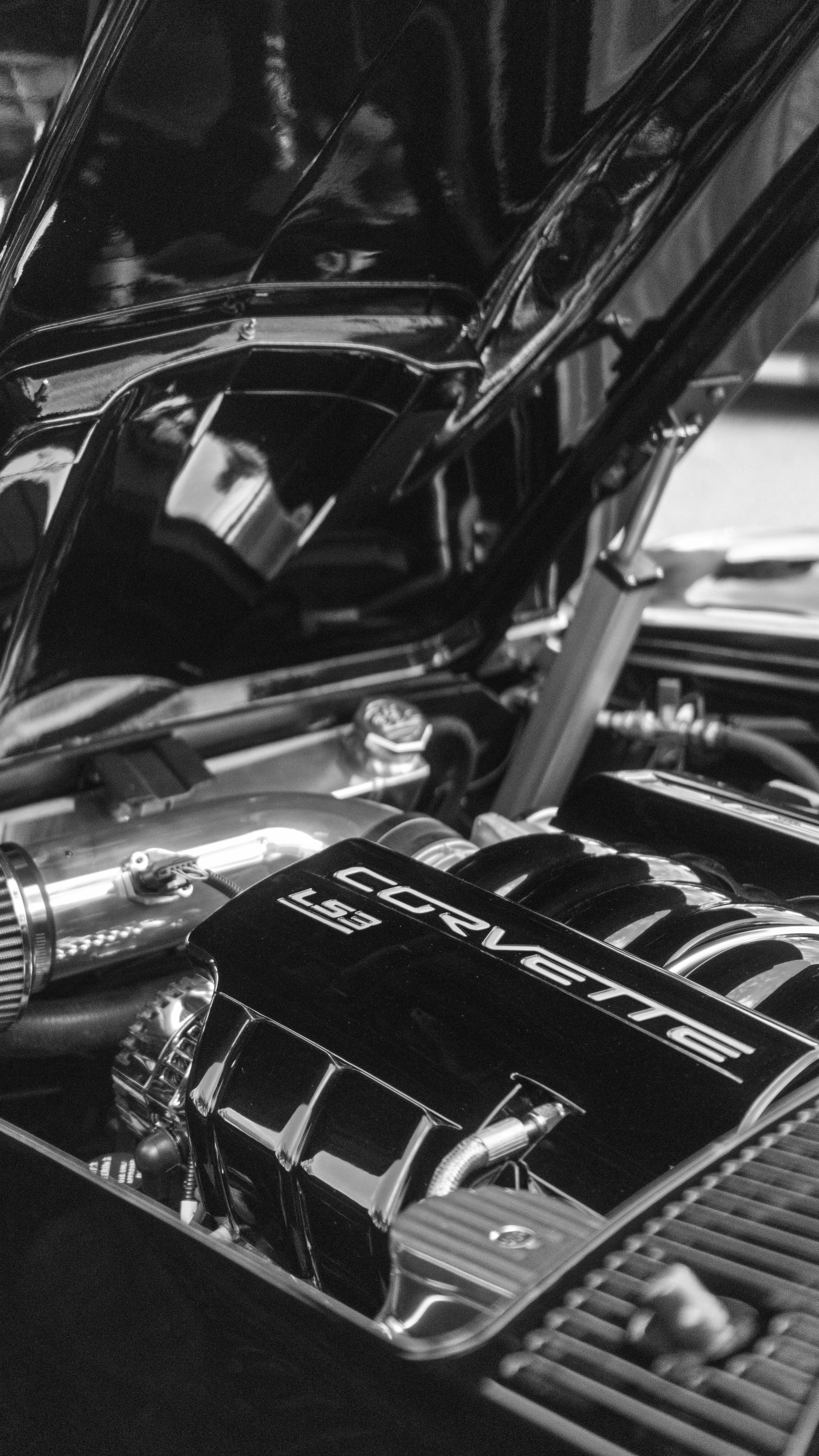 Photo by navarrovisuals