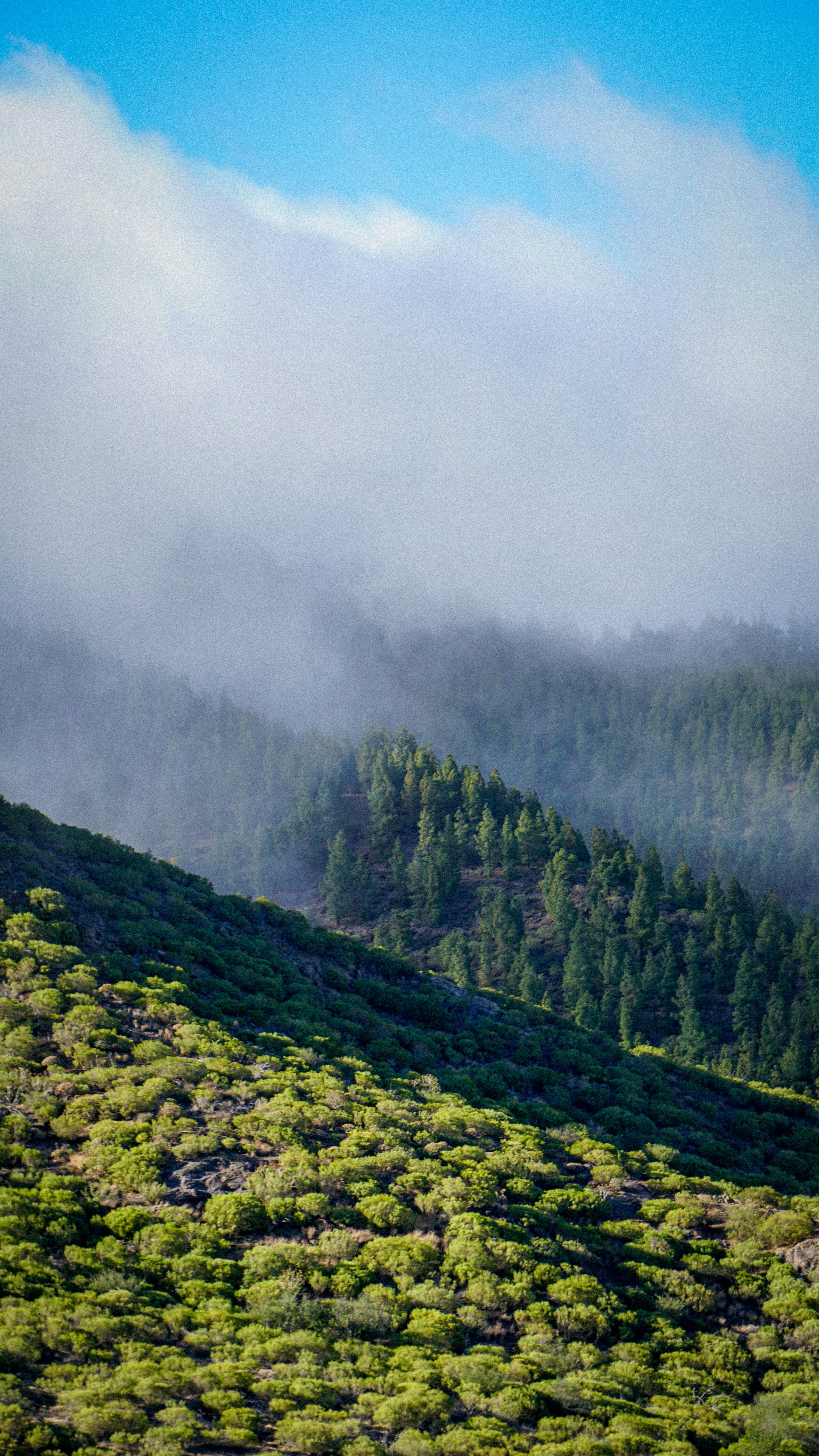 Photo by creator_batumi