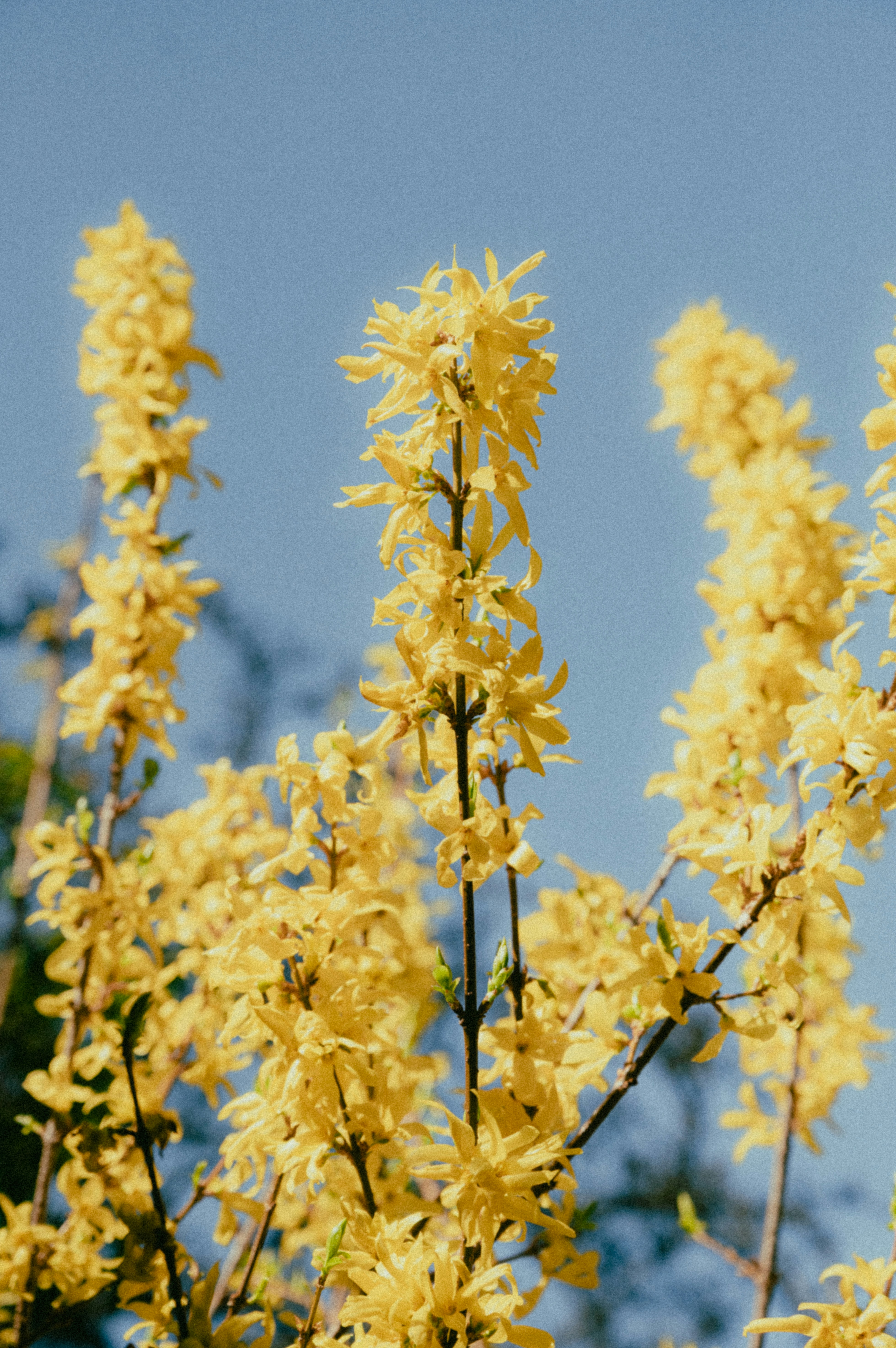 Photo by luca_severin