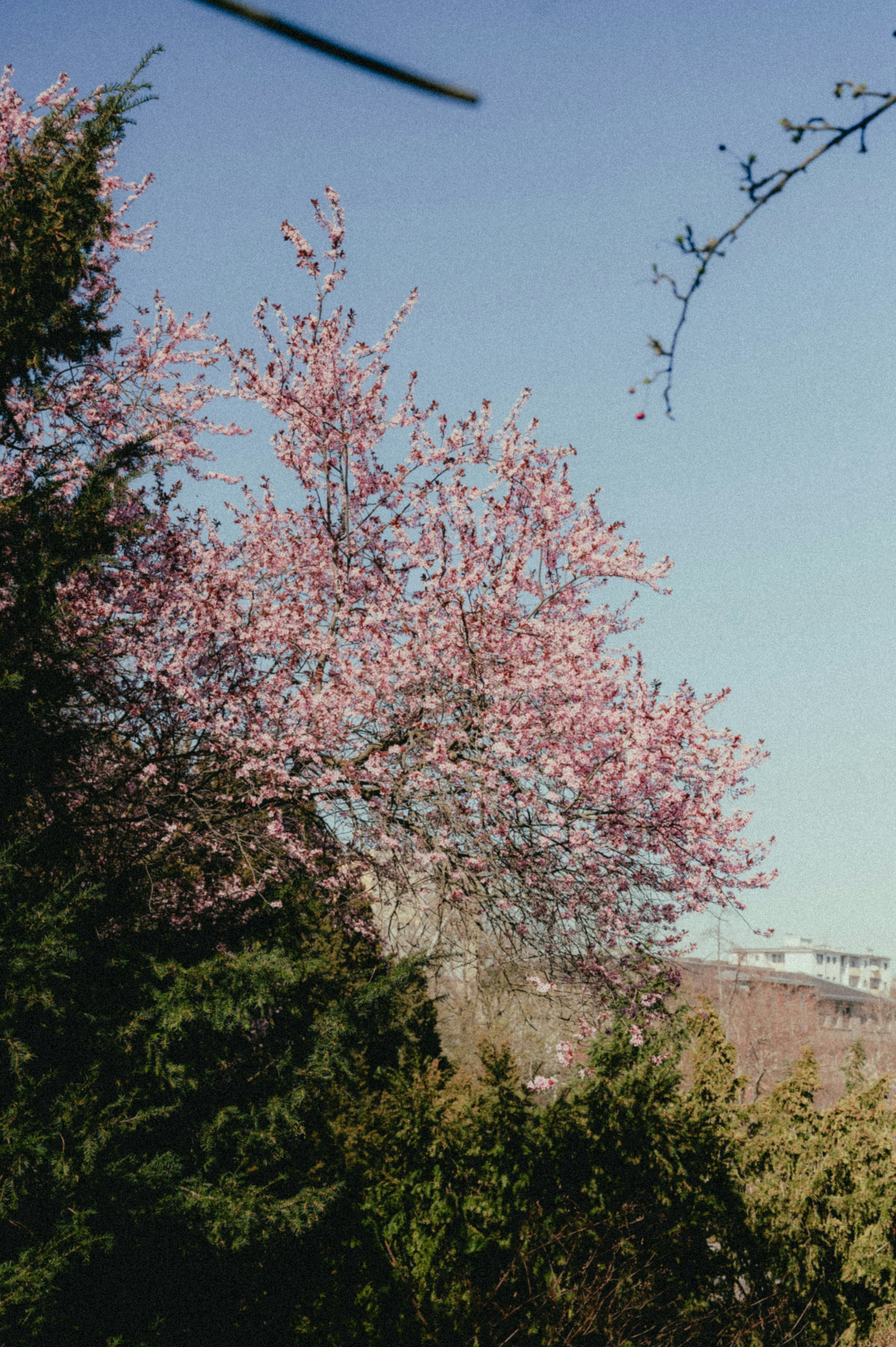 Containers in Valley Spring, TX