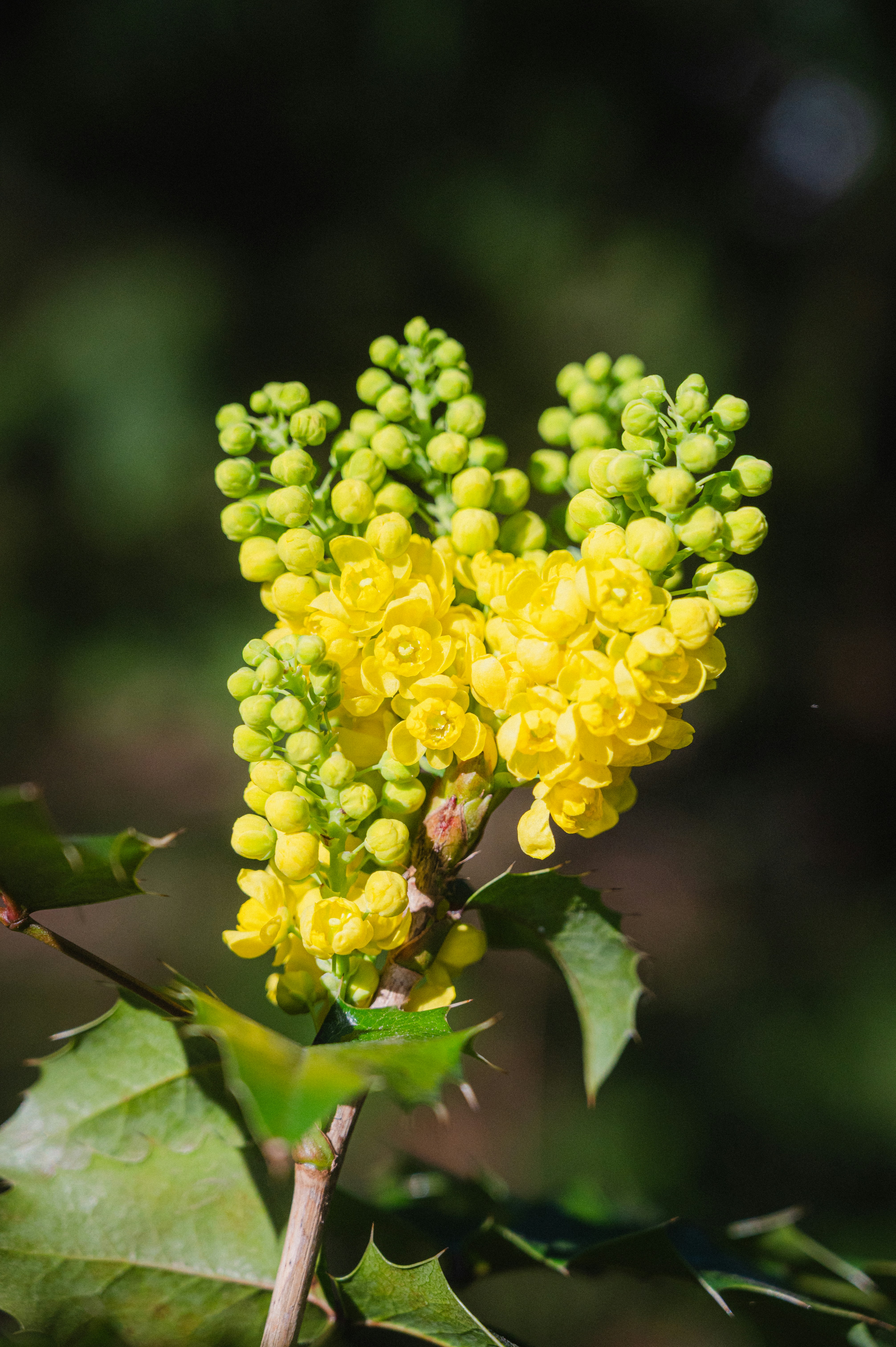 Photo by luca_severin