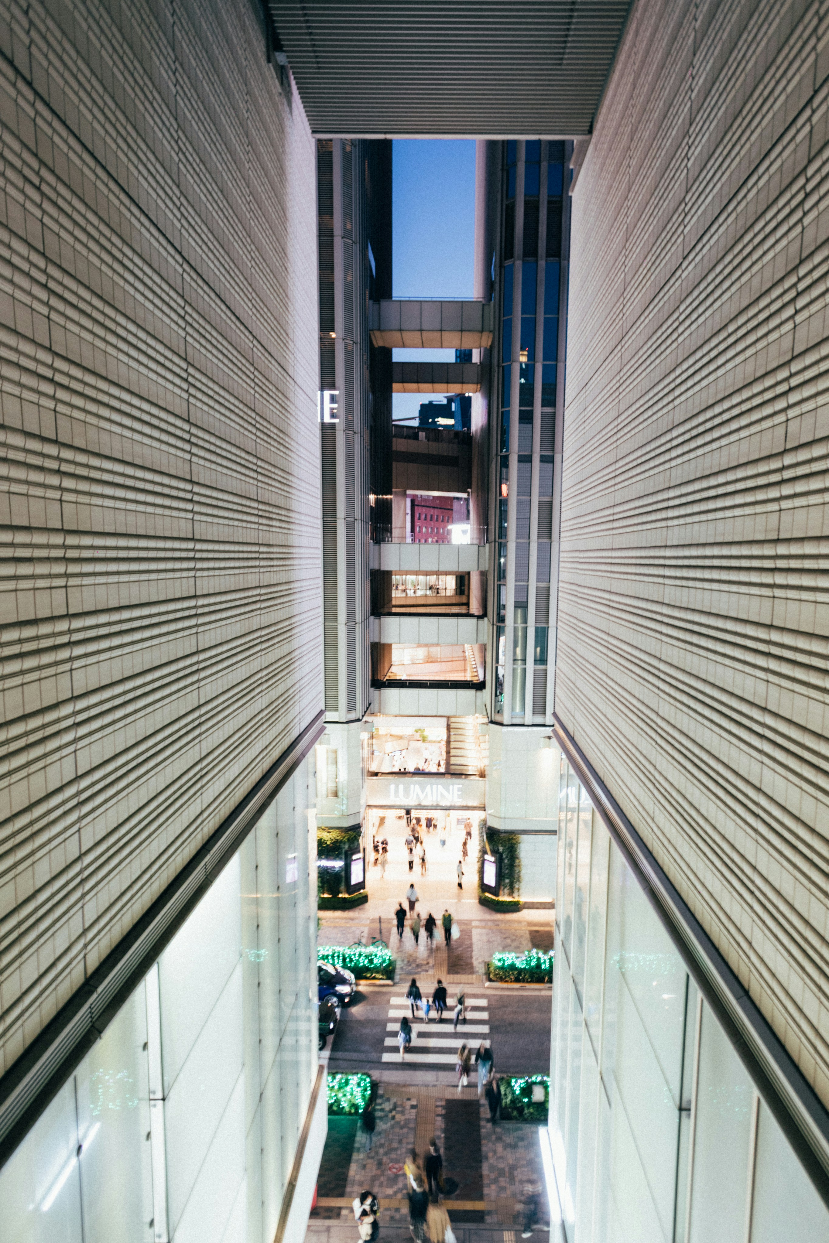 Photo by tsuyoshikozu