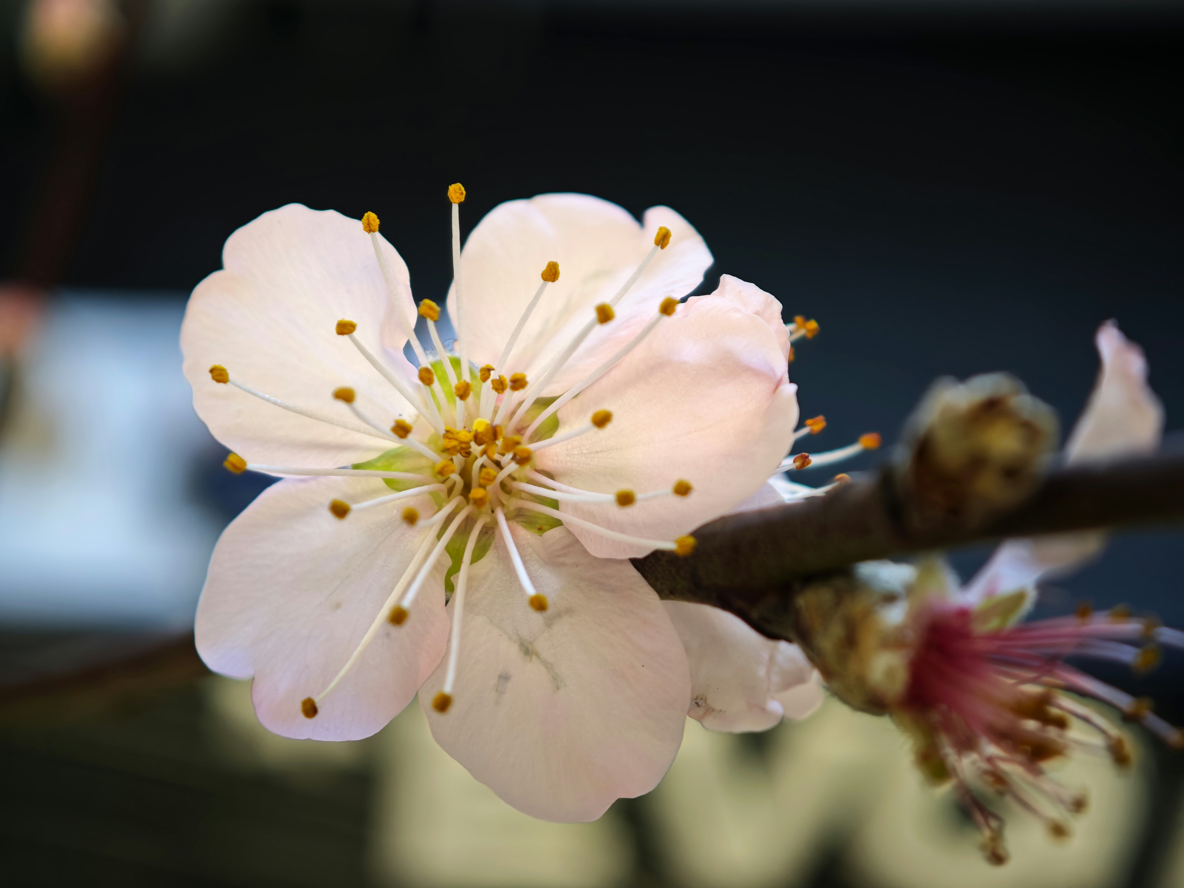 Photo by analogidentity