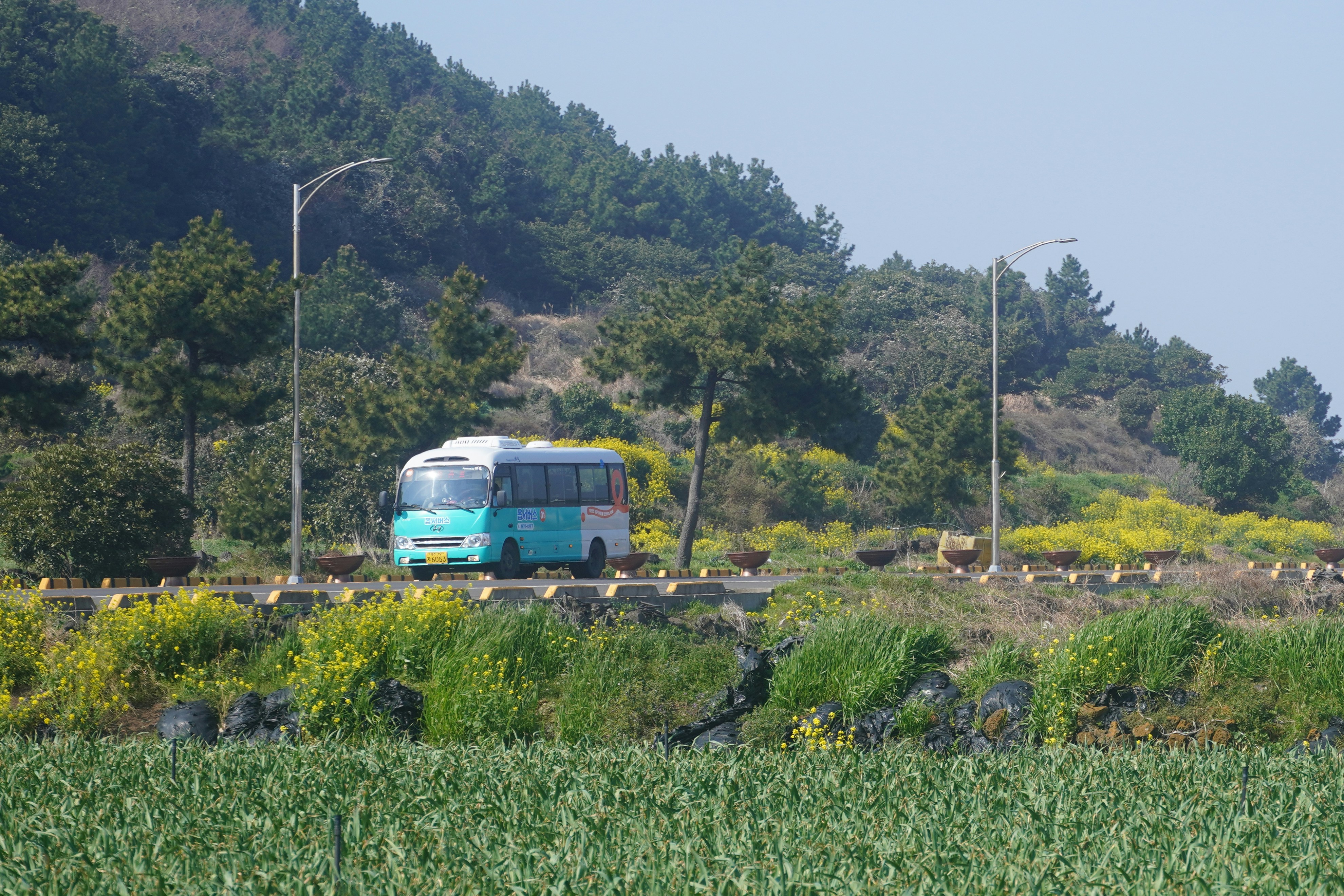 A bus travels along a road near greenery.
