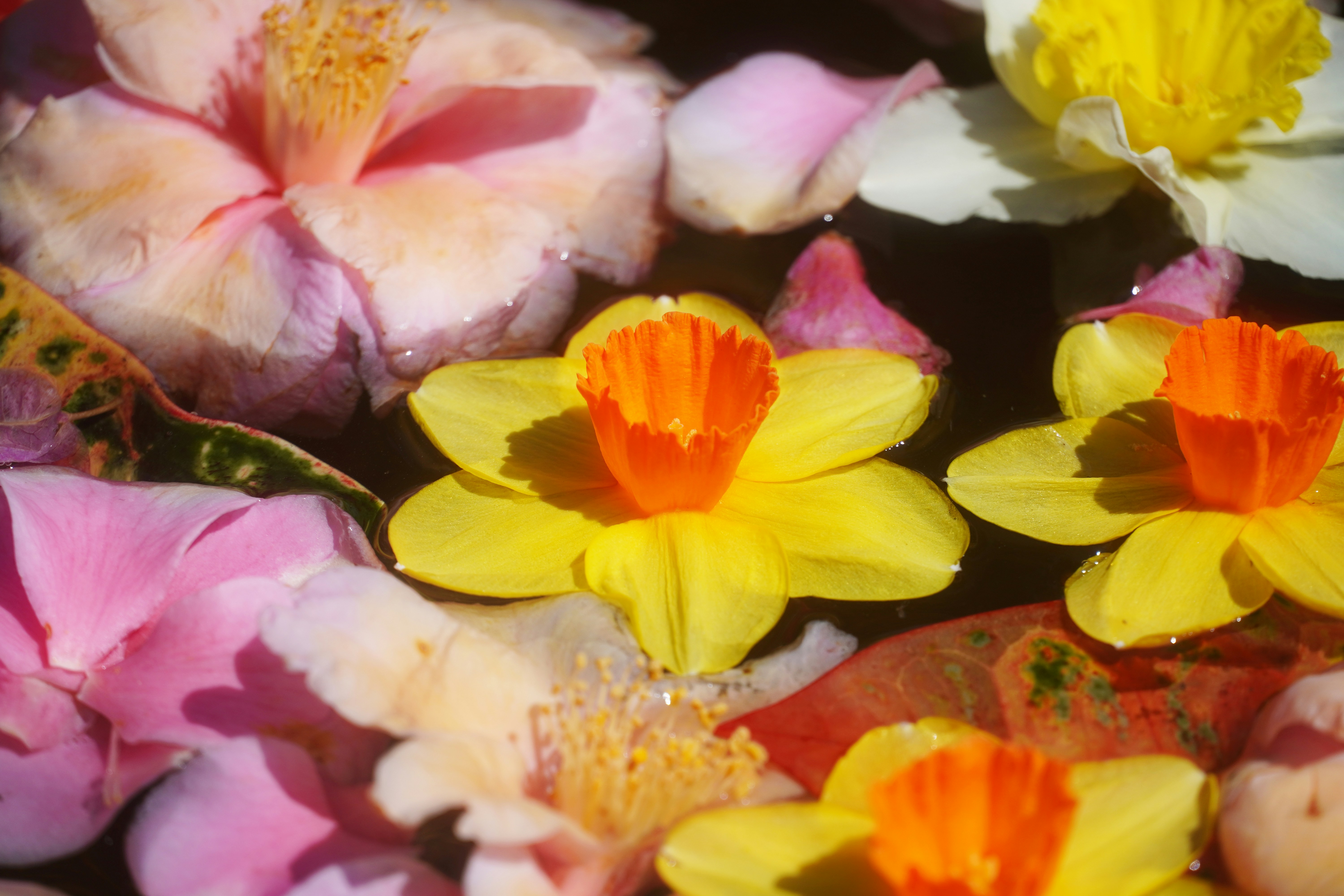 Photo by lifeinkorea