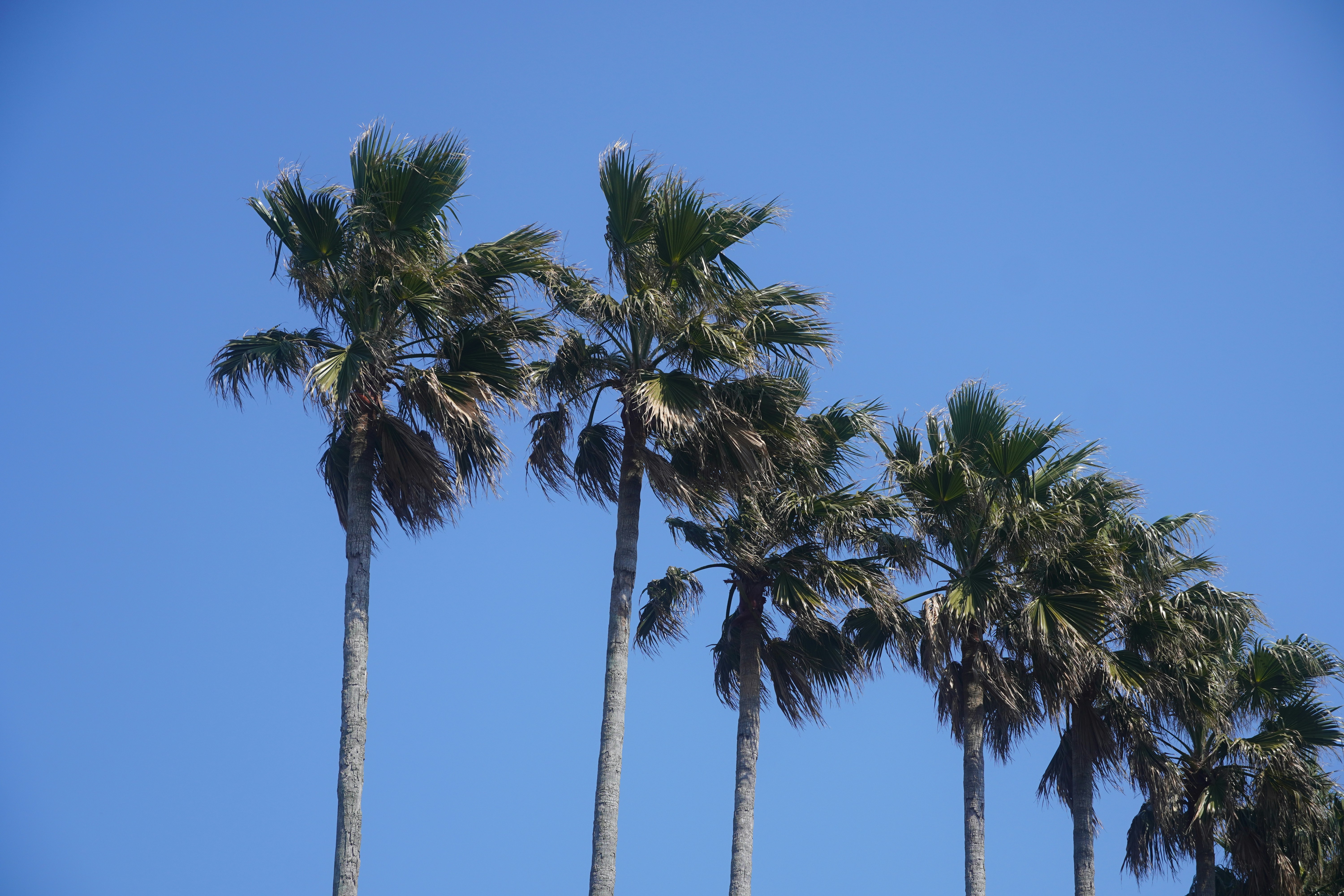 Photo by lifeinkorea