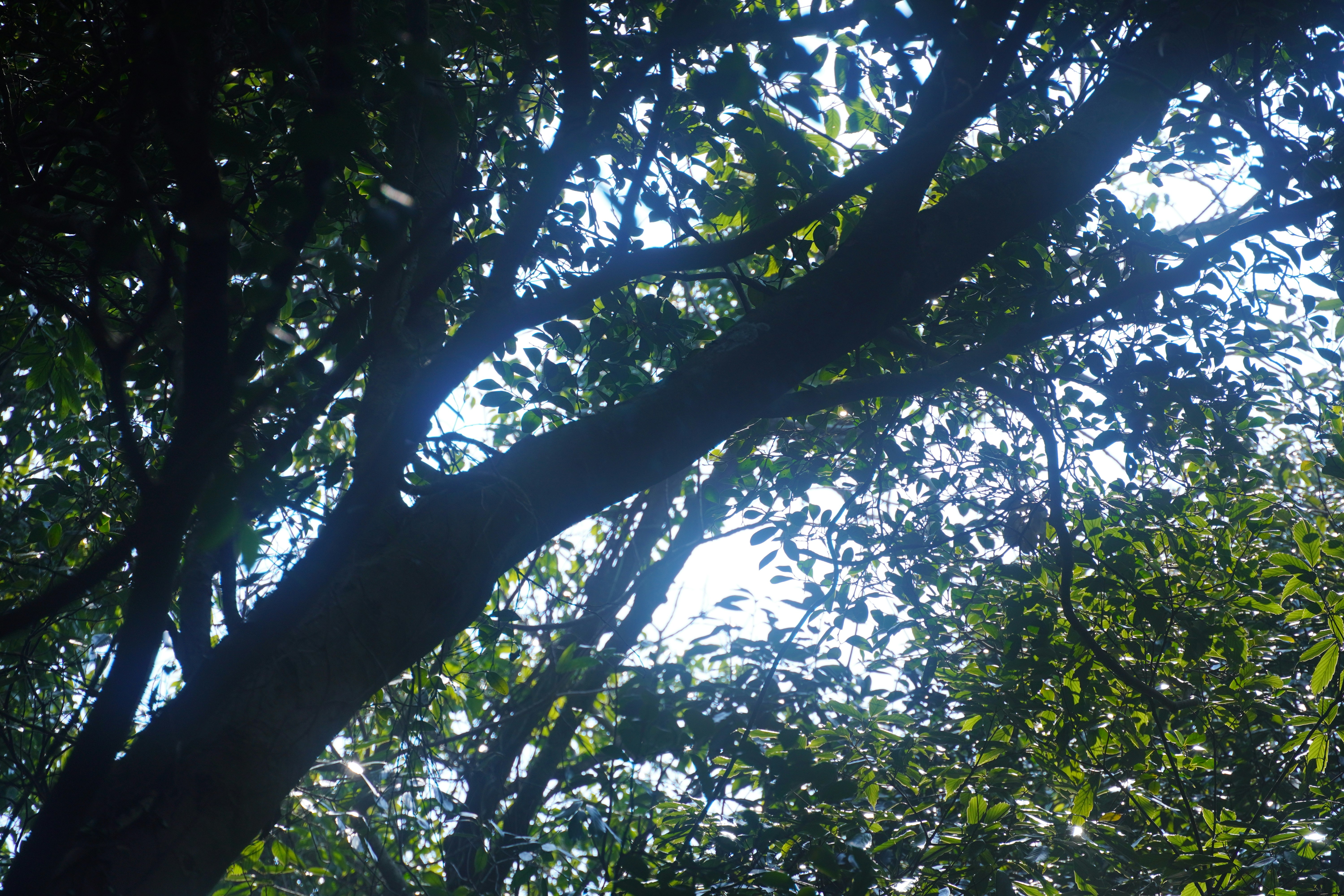 Photo by lifeinkorea