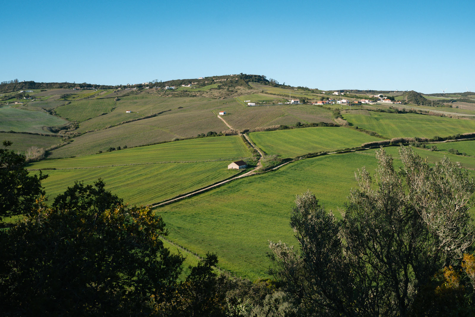 Amoure Hotel: Farm-to-Table Design in the Minho