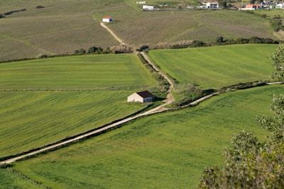 Fields and a winding road stretch across the landscape.