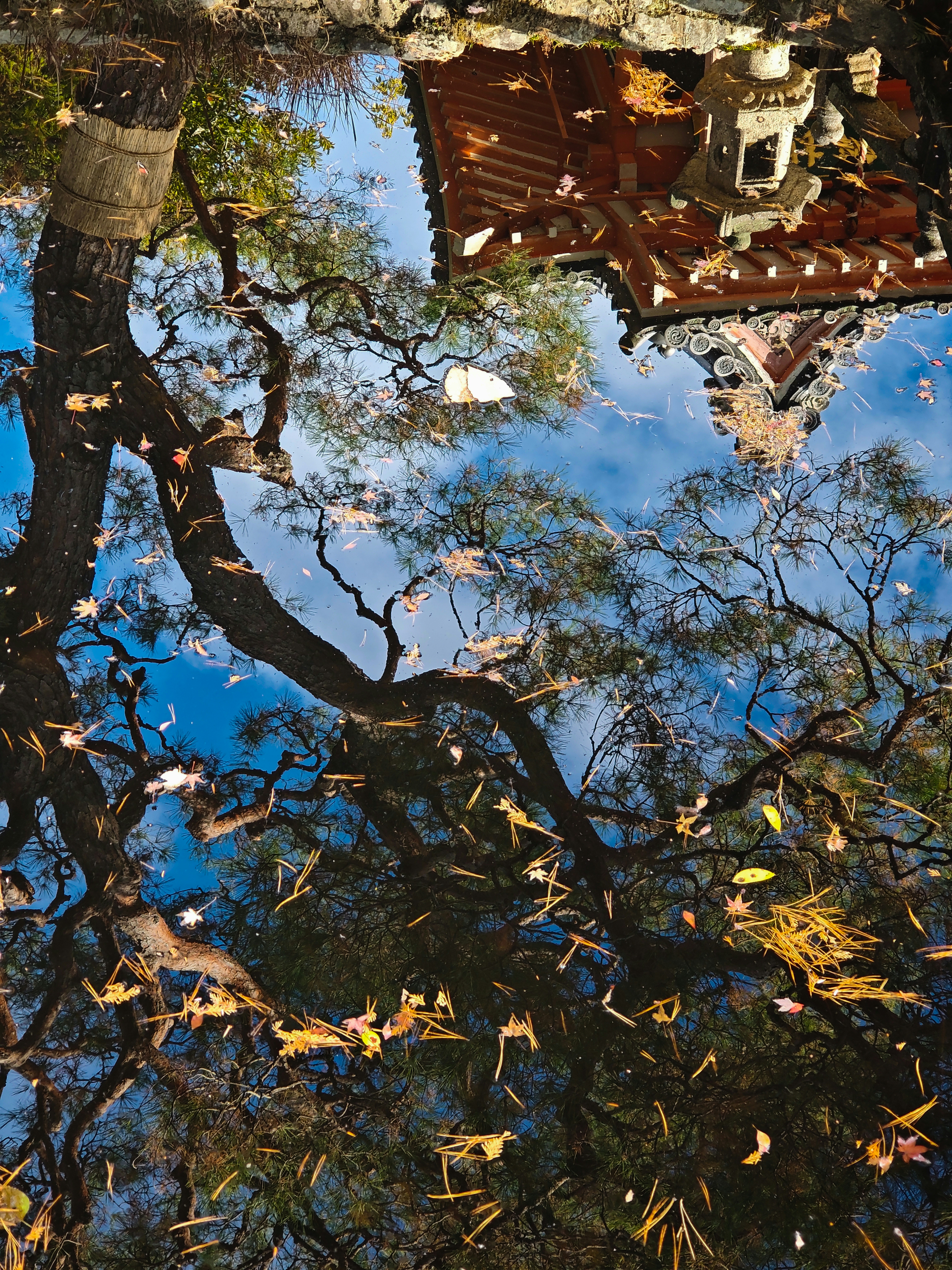 Photo by wangsheeran