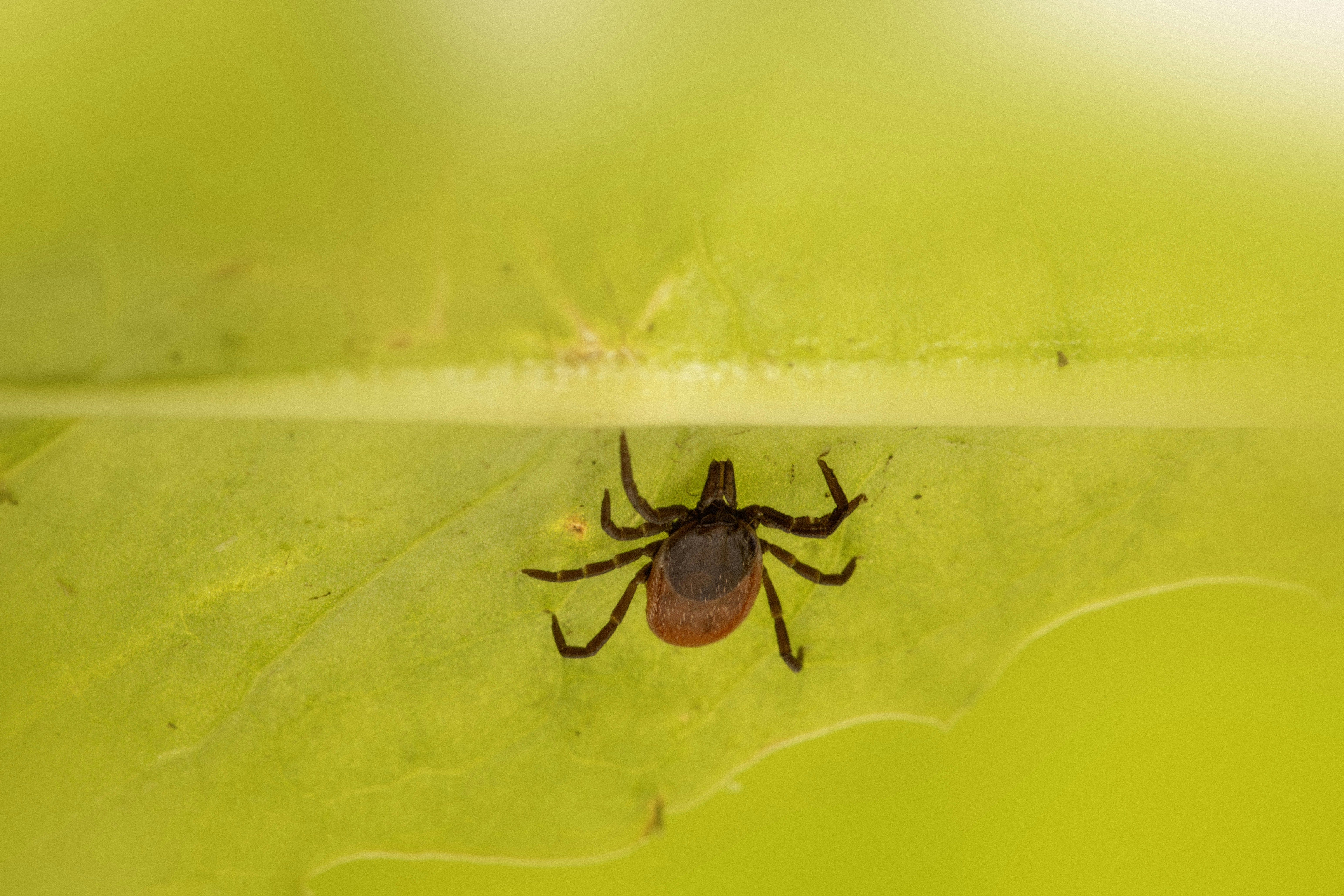 Photo by erik_karits