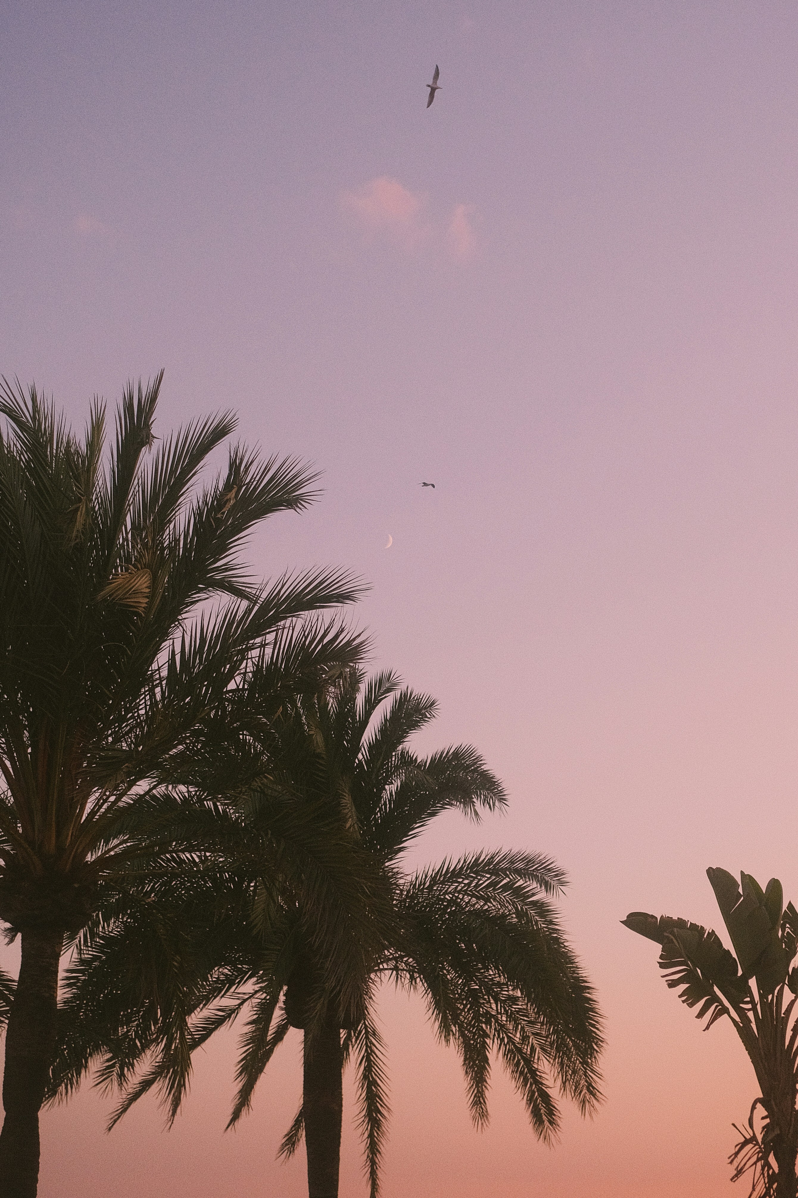 Photo by visualsbying