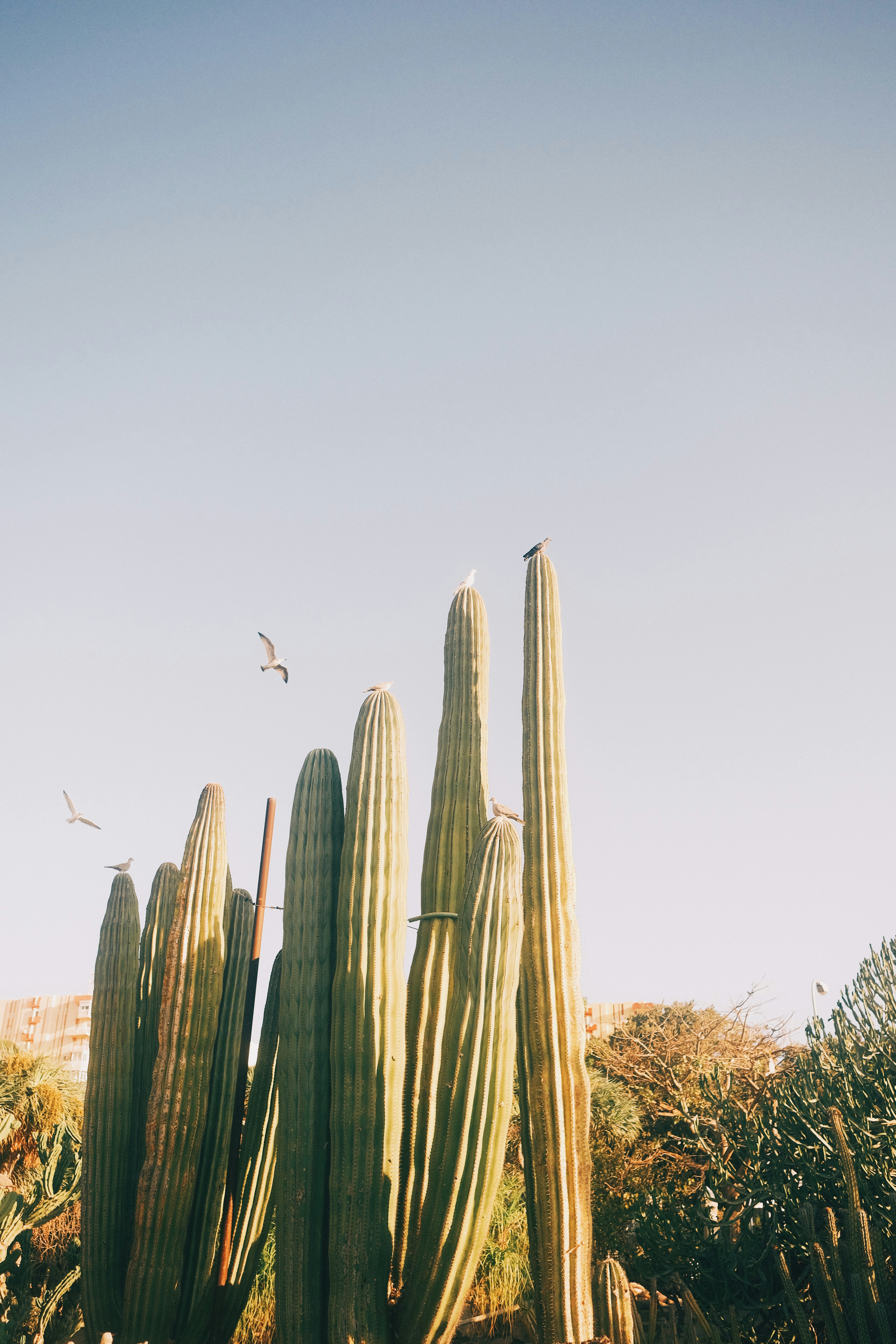 Photo by visualsbying