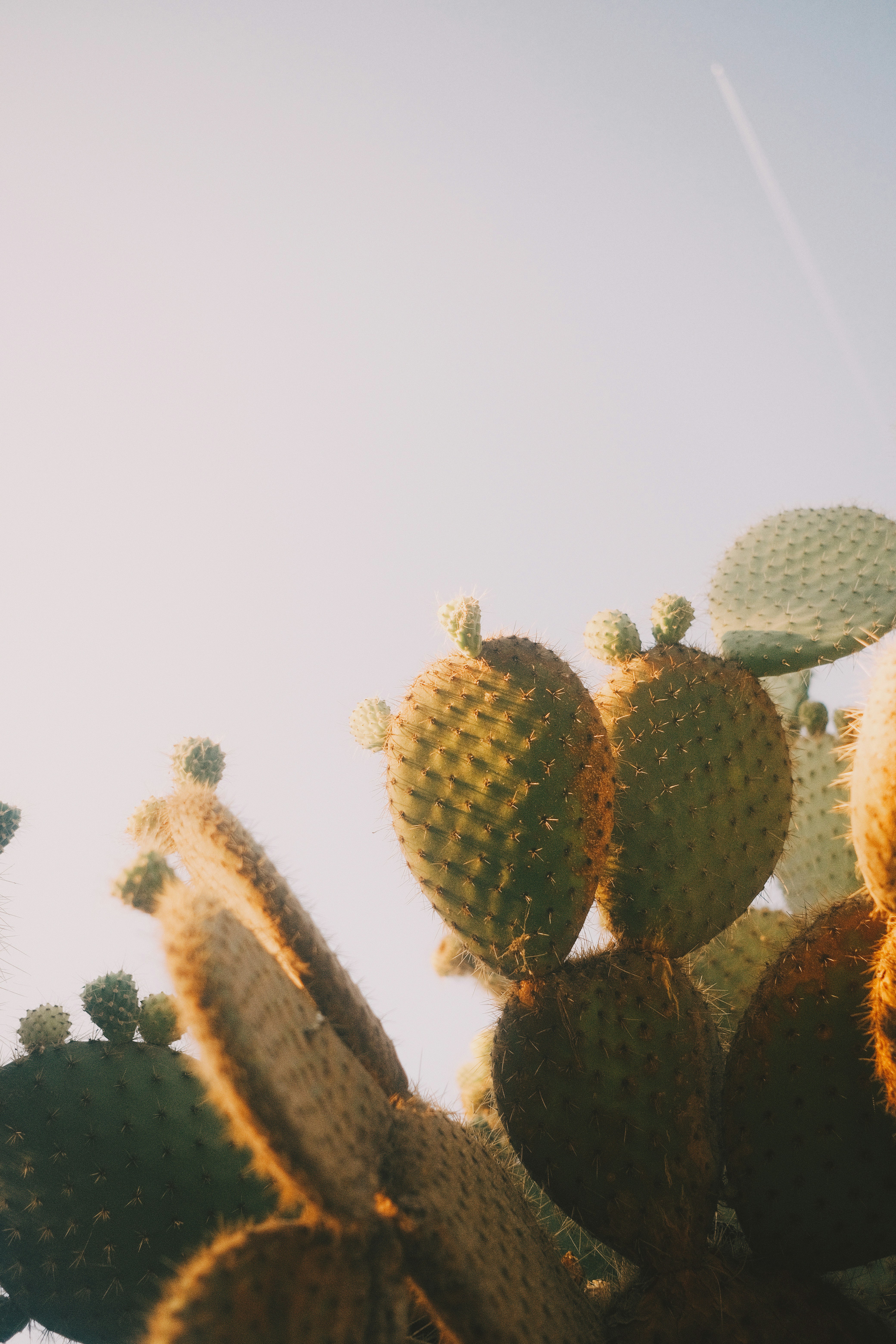 Photo by visualsbying