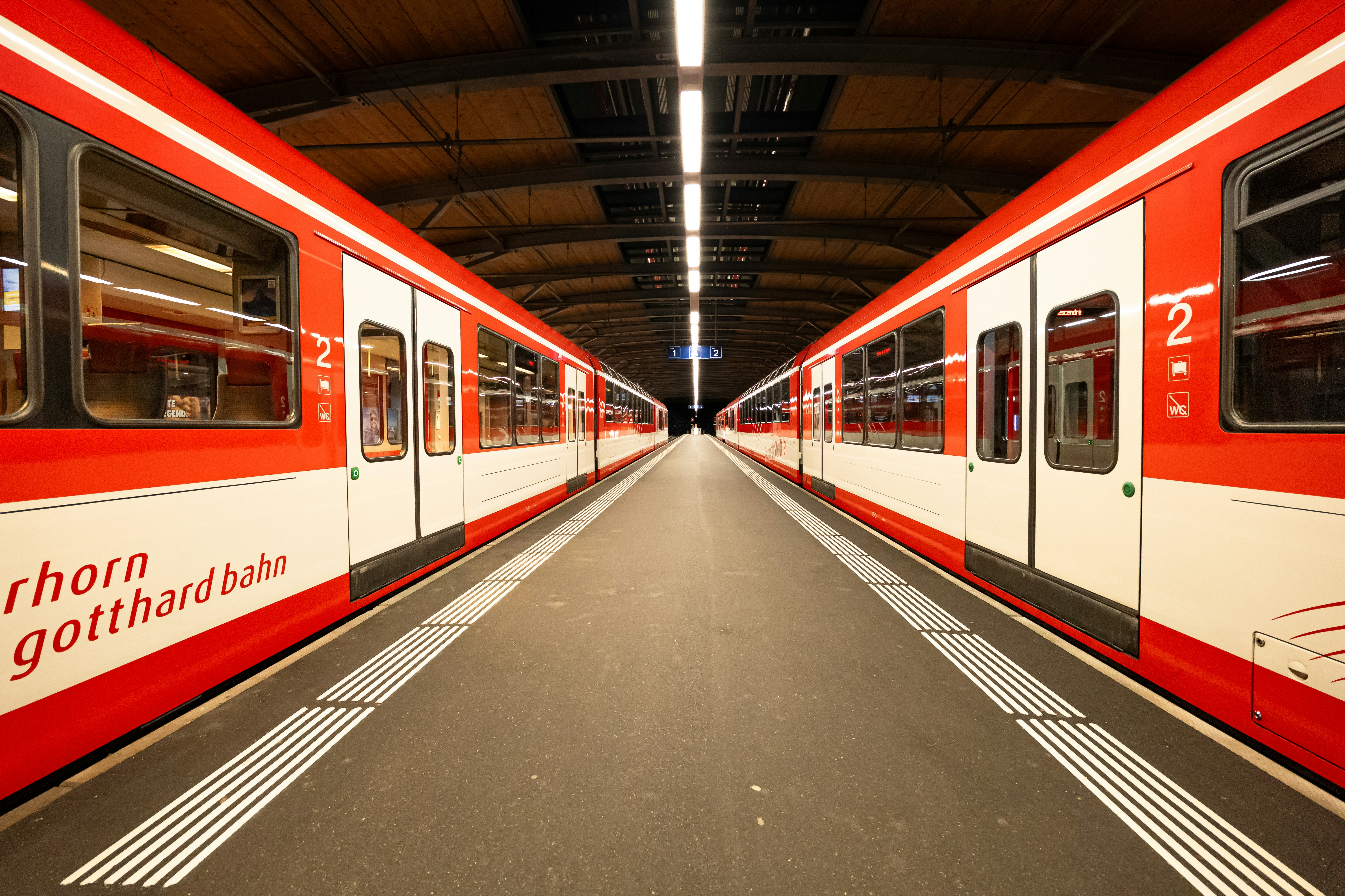 Two trains are parked on parallel tracks.