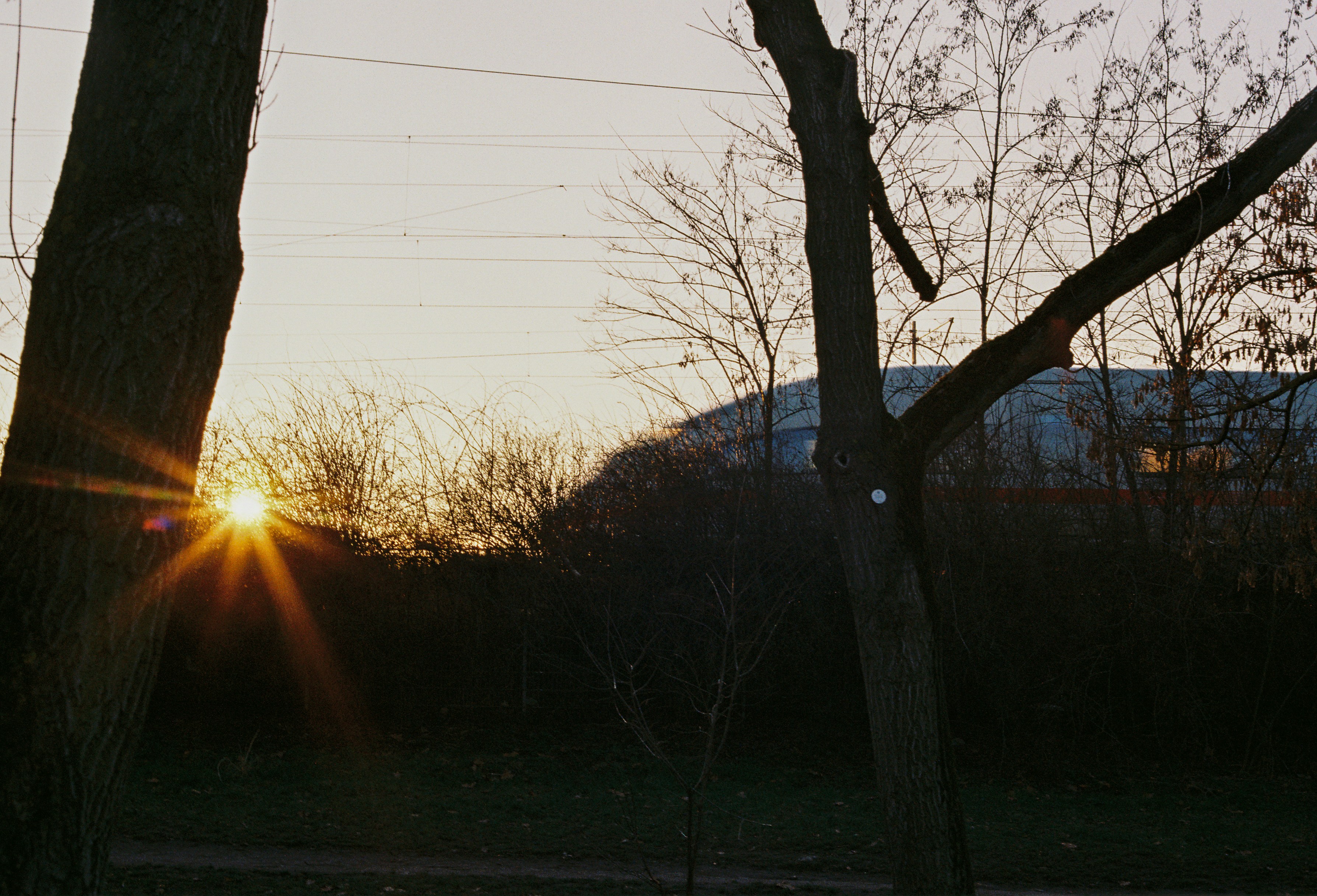Photo by luca_severin