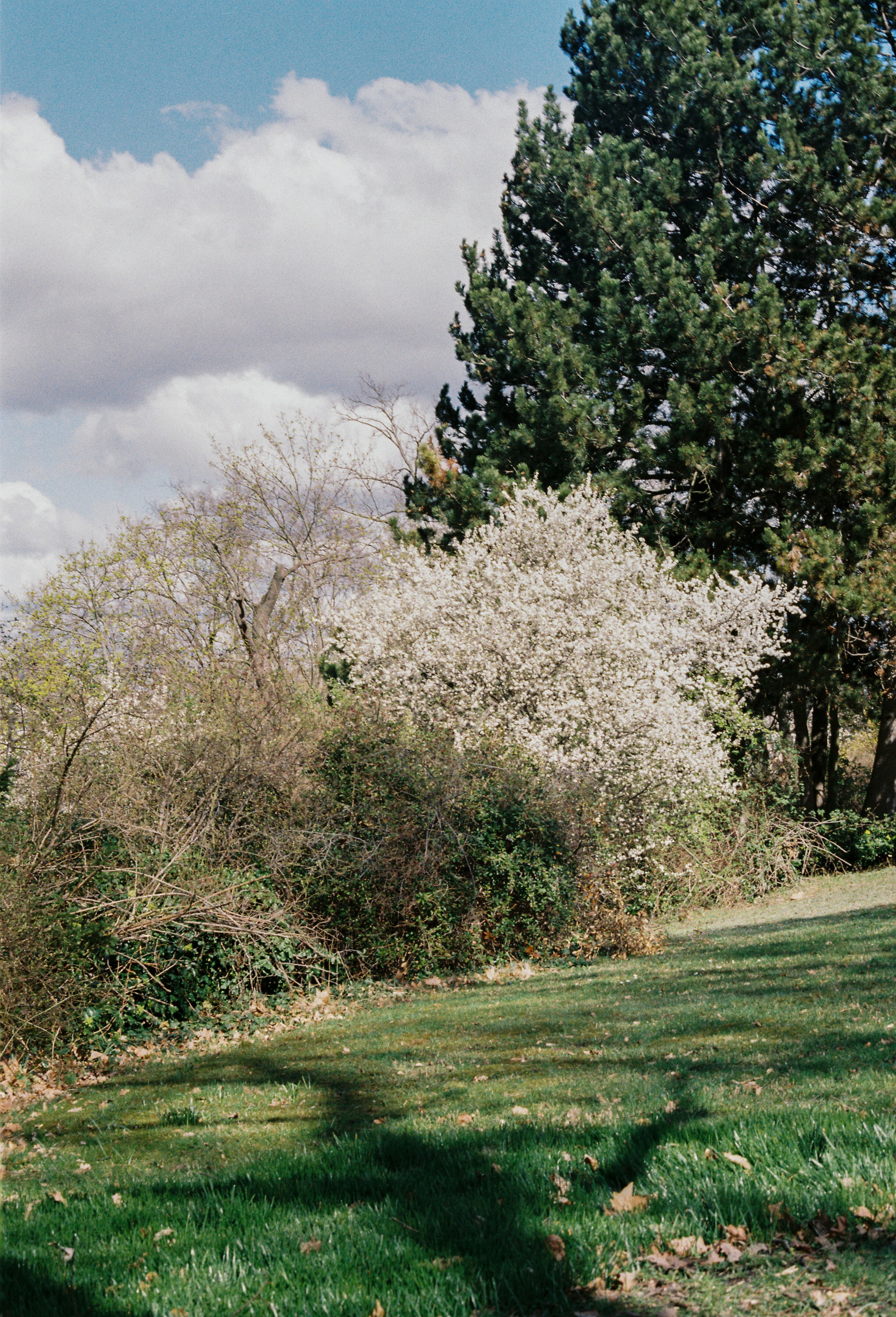 Photo by luca_severin