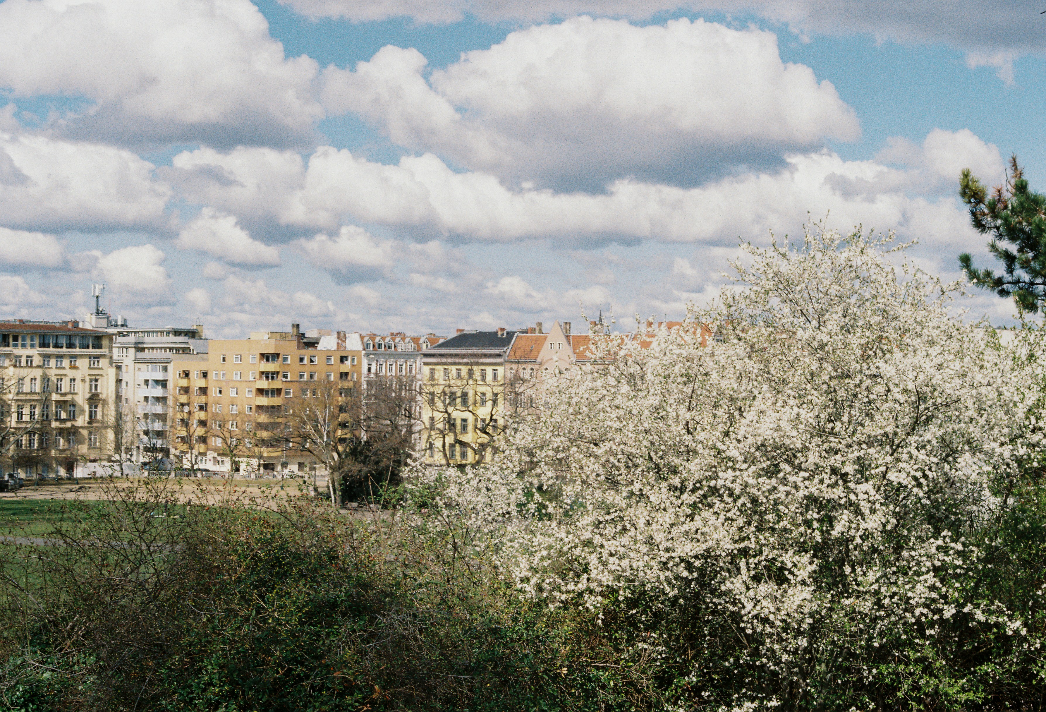 Photo by luca_severin