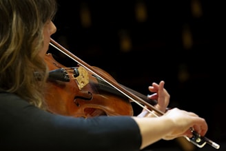 A musician plays the violin.