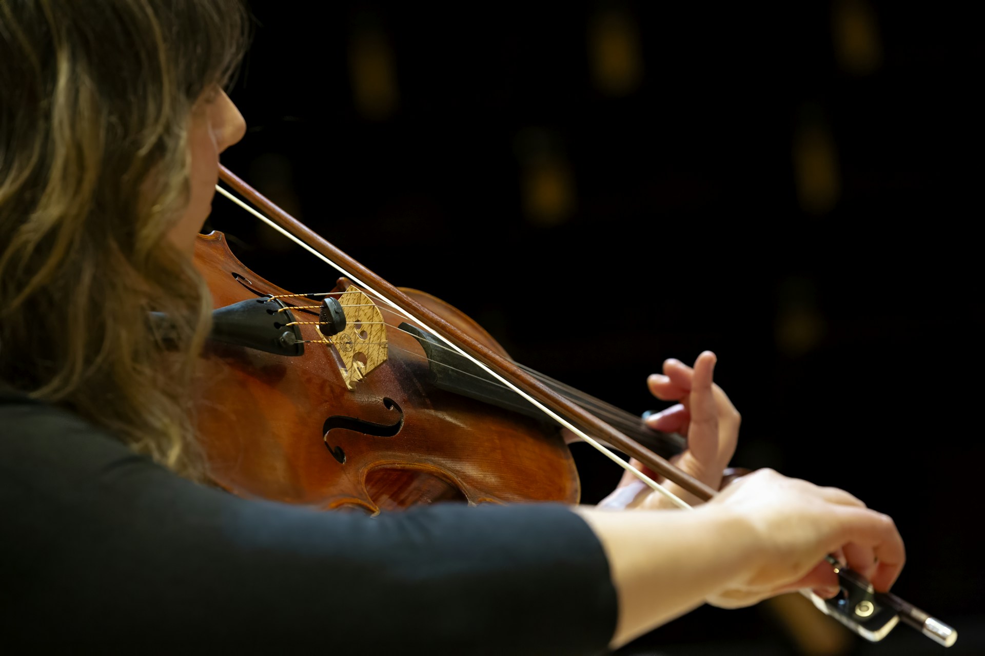A musician plays the violin.