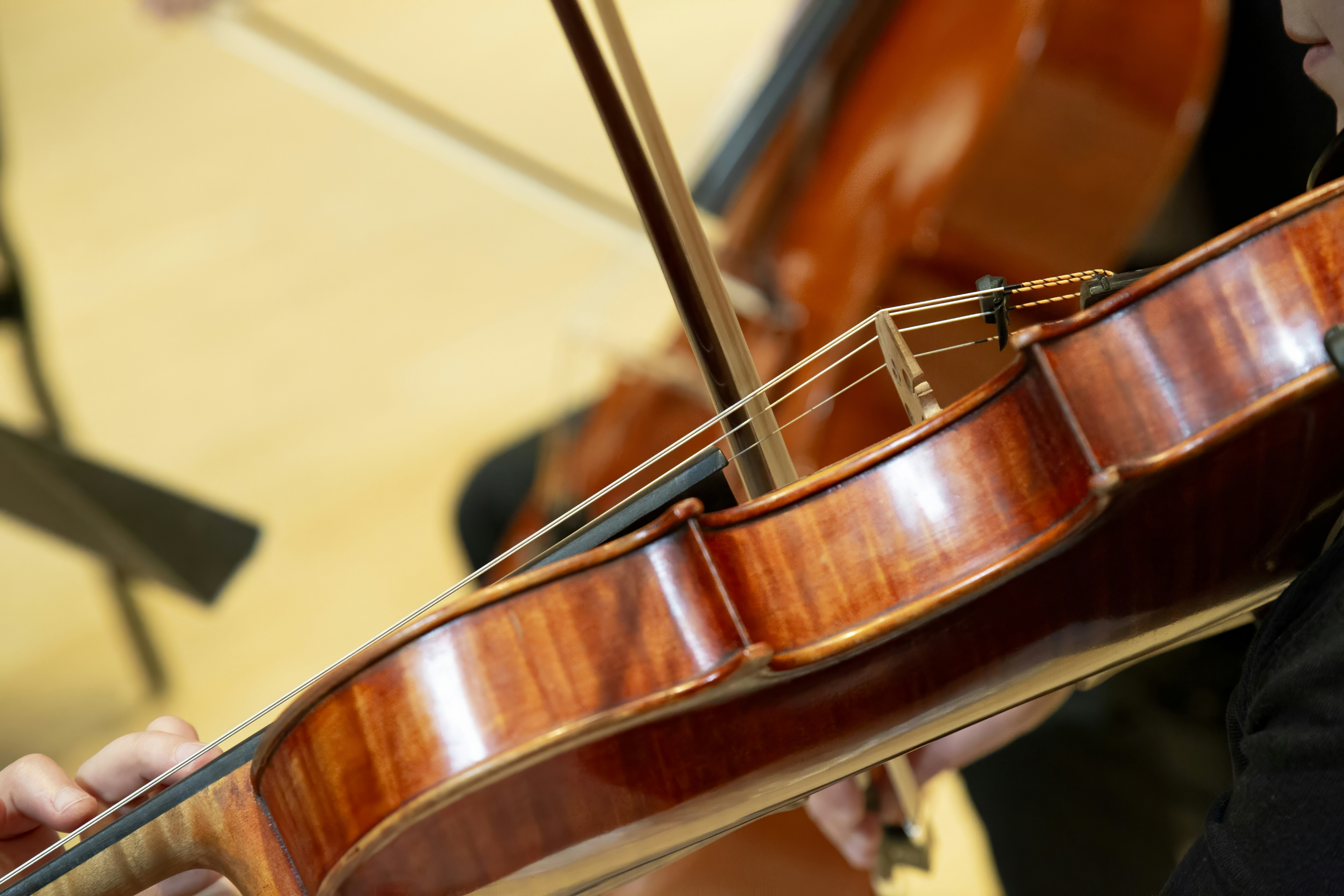 Photo by renderbranding