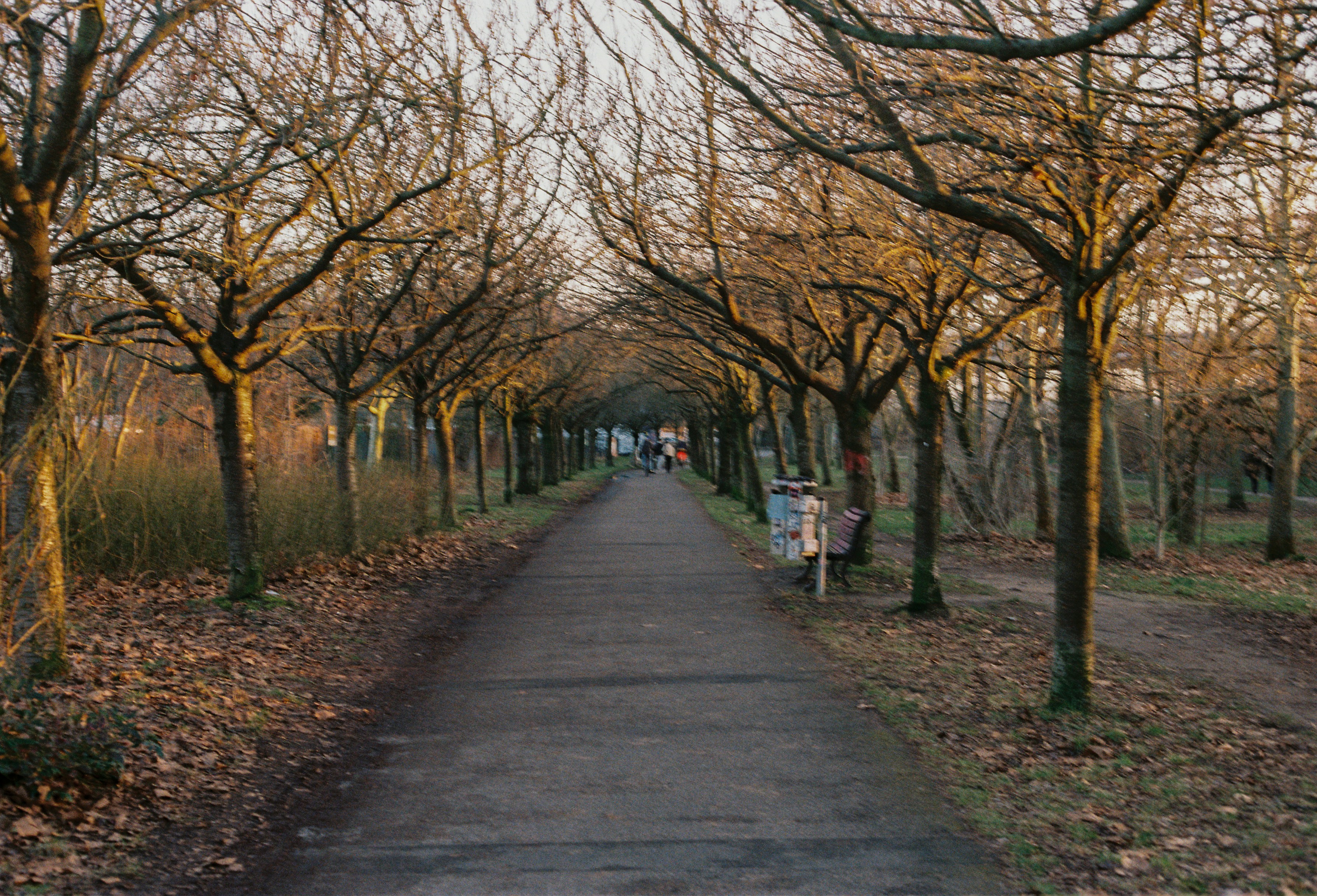 Photo by luca_severin