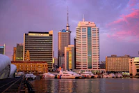 Top Museums and Historical Sites in Auckland That Are Actually Interesting