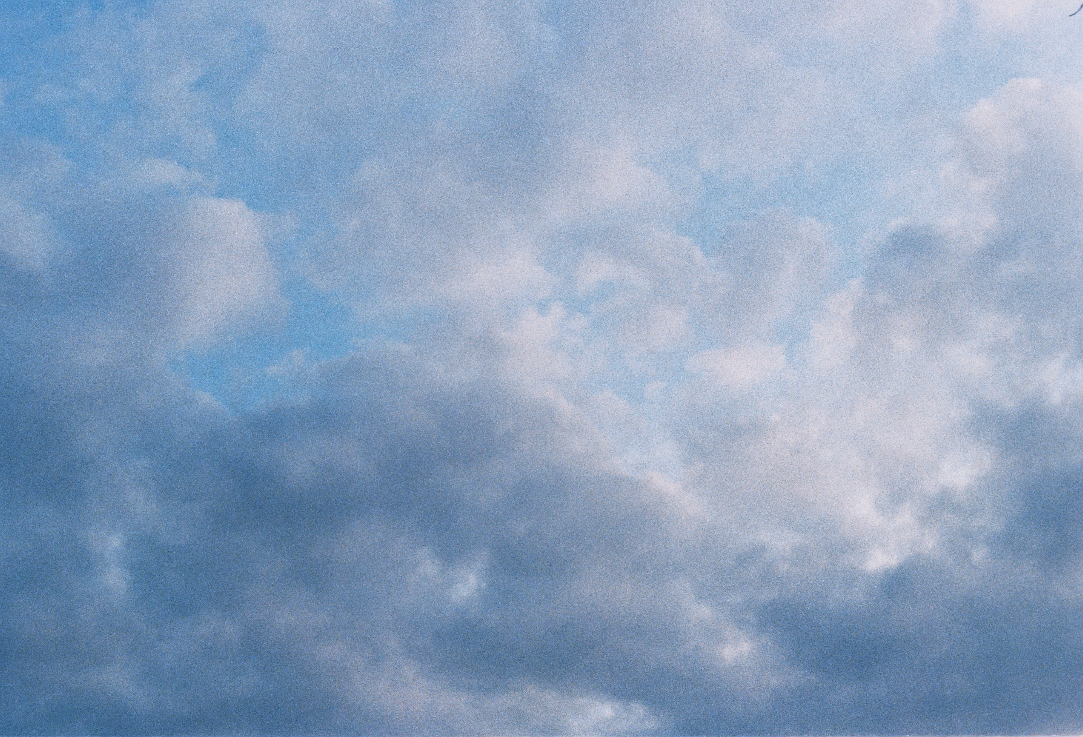 Photo by luca_severin