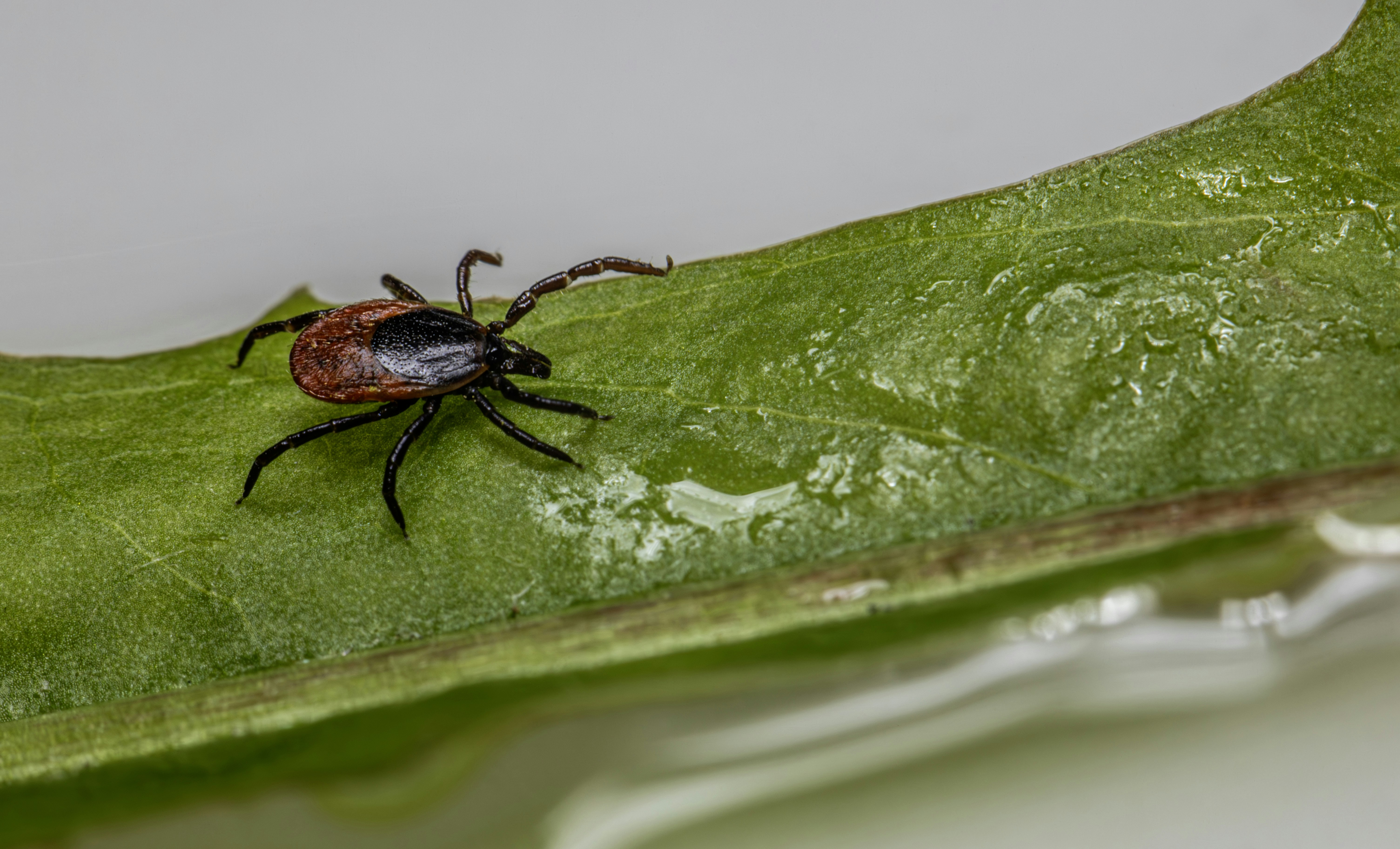 Photo by erik_karits